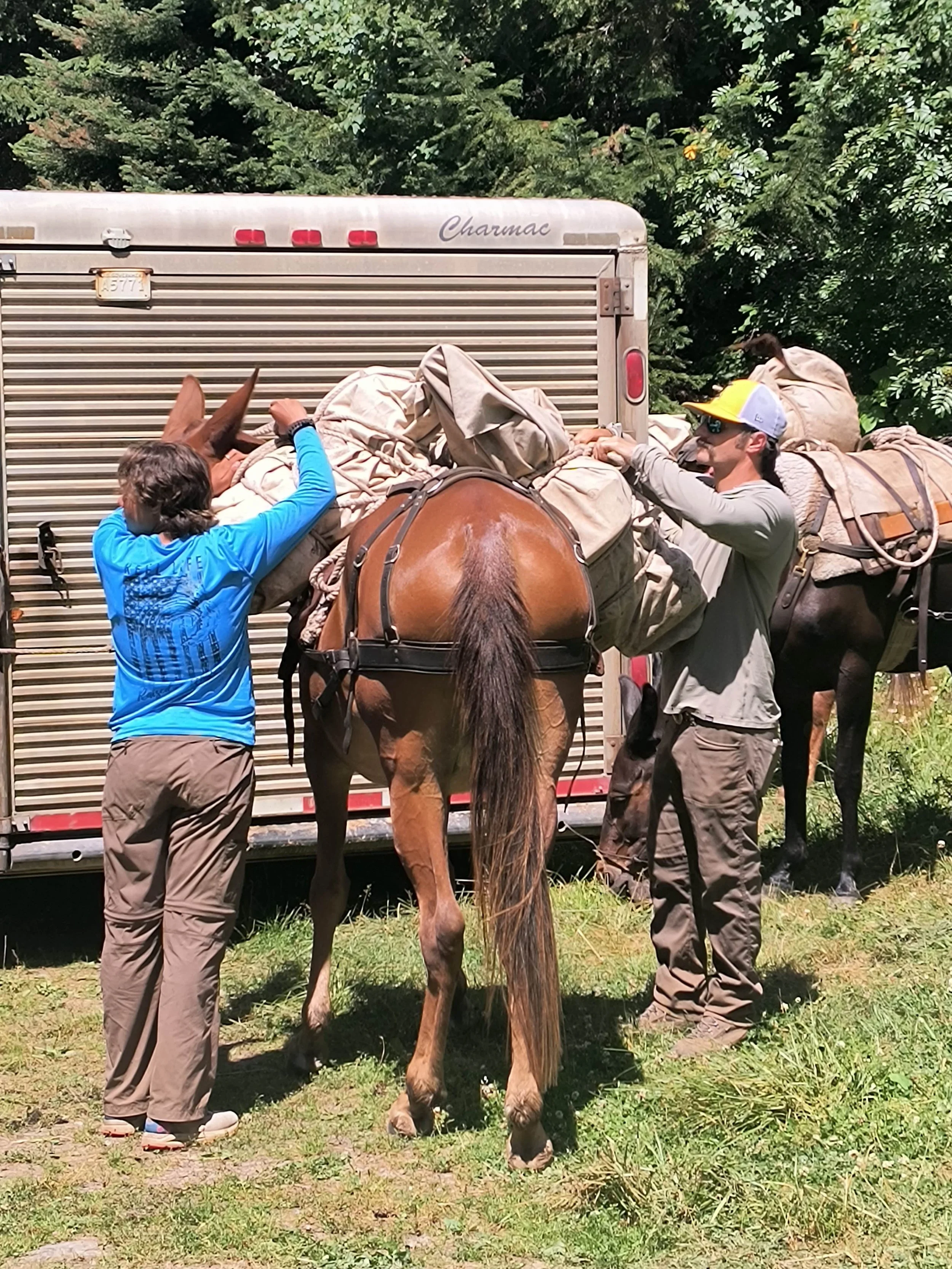 KFYCC_packing_mule (1).jpg