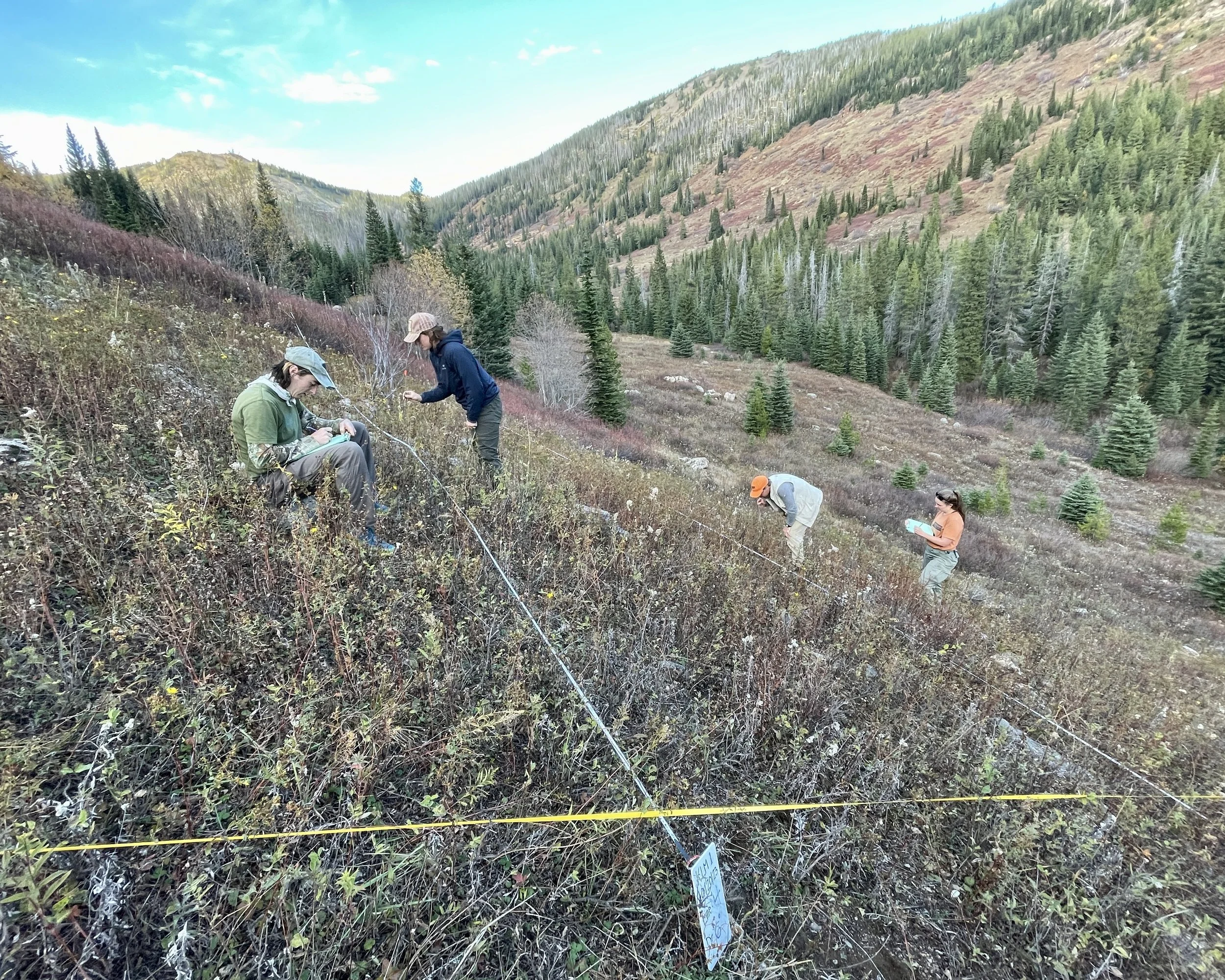 kid_lake_meadows_monitoring_volunteer (1).JPG