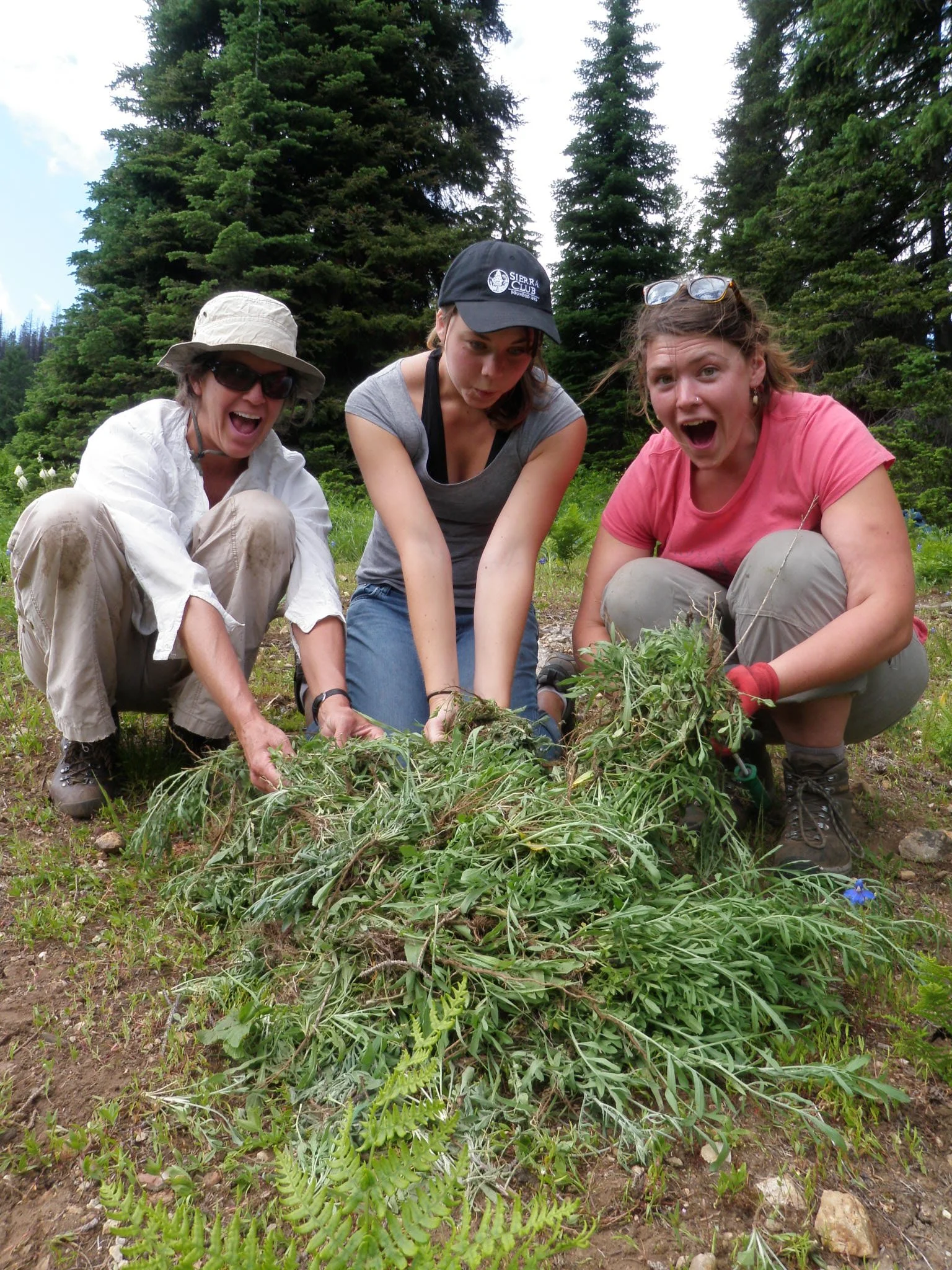 Irish_Basin_weed_pull_volunteer_2011 (2).JPG