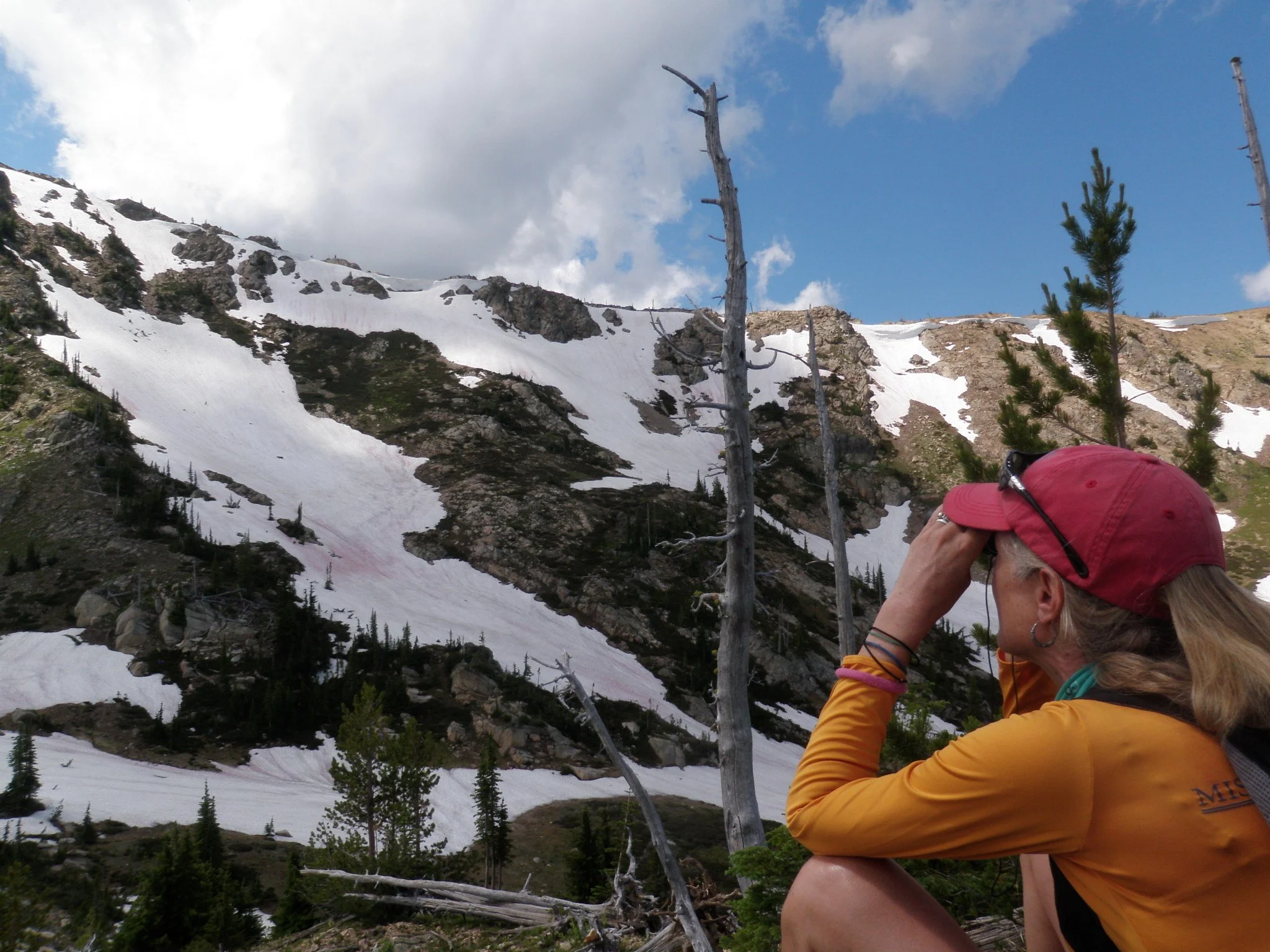 Dinosaur_ridge_binoculars_volunteer_2011.JPG