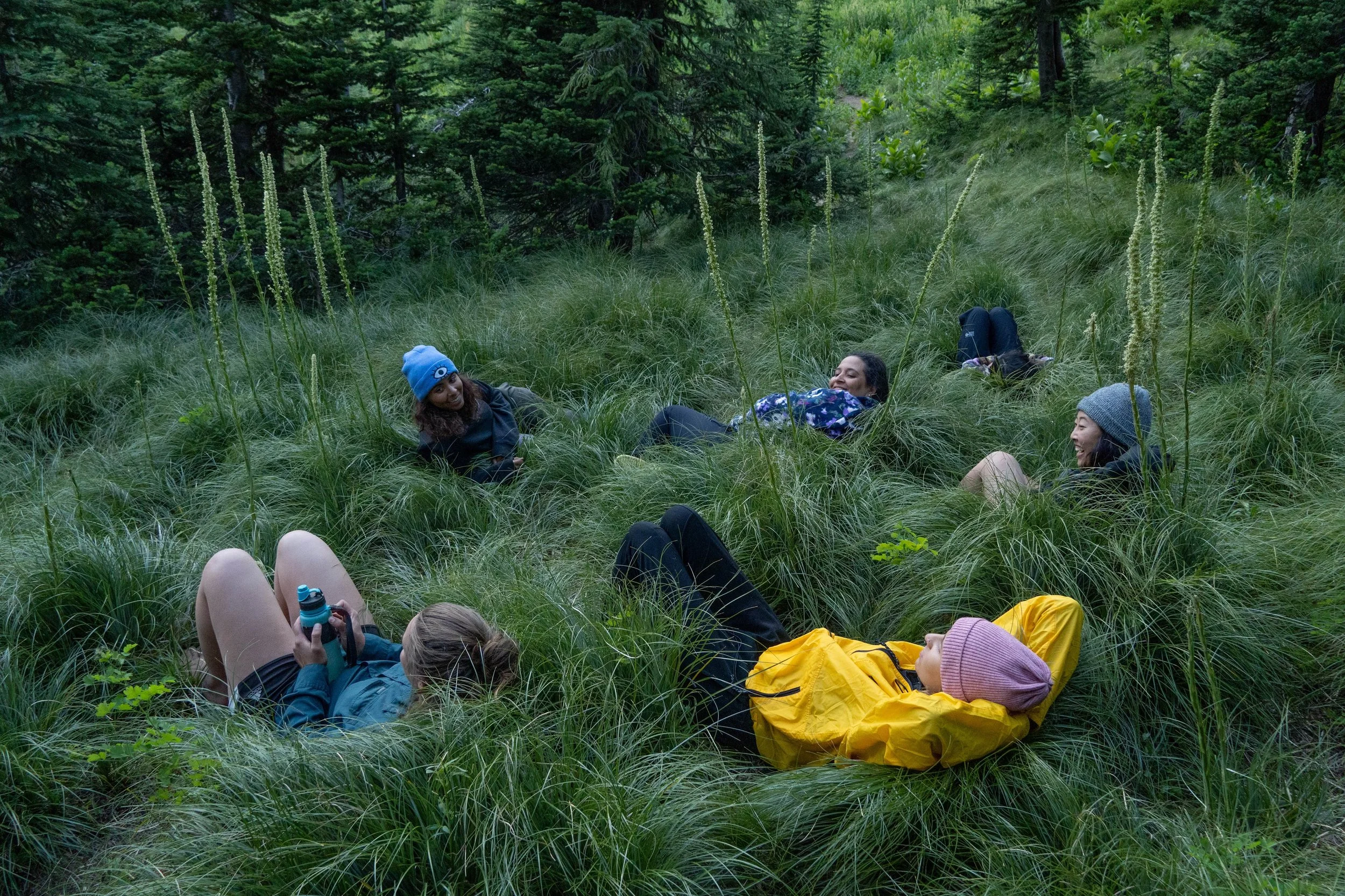 here_mt_volunteer_stateline_fun_beargrass.jpg