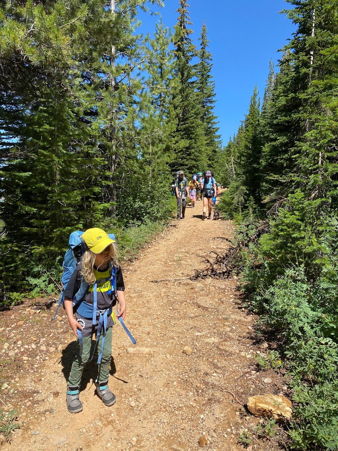 IMG_0527.jpg