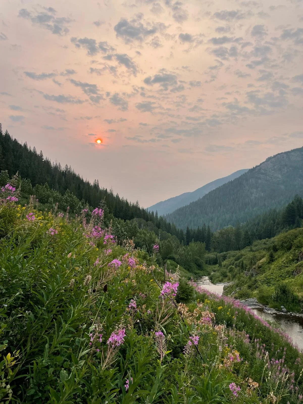Sunrise above the falls on Straight Creek.jpeg