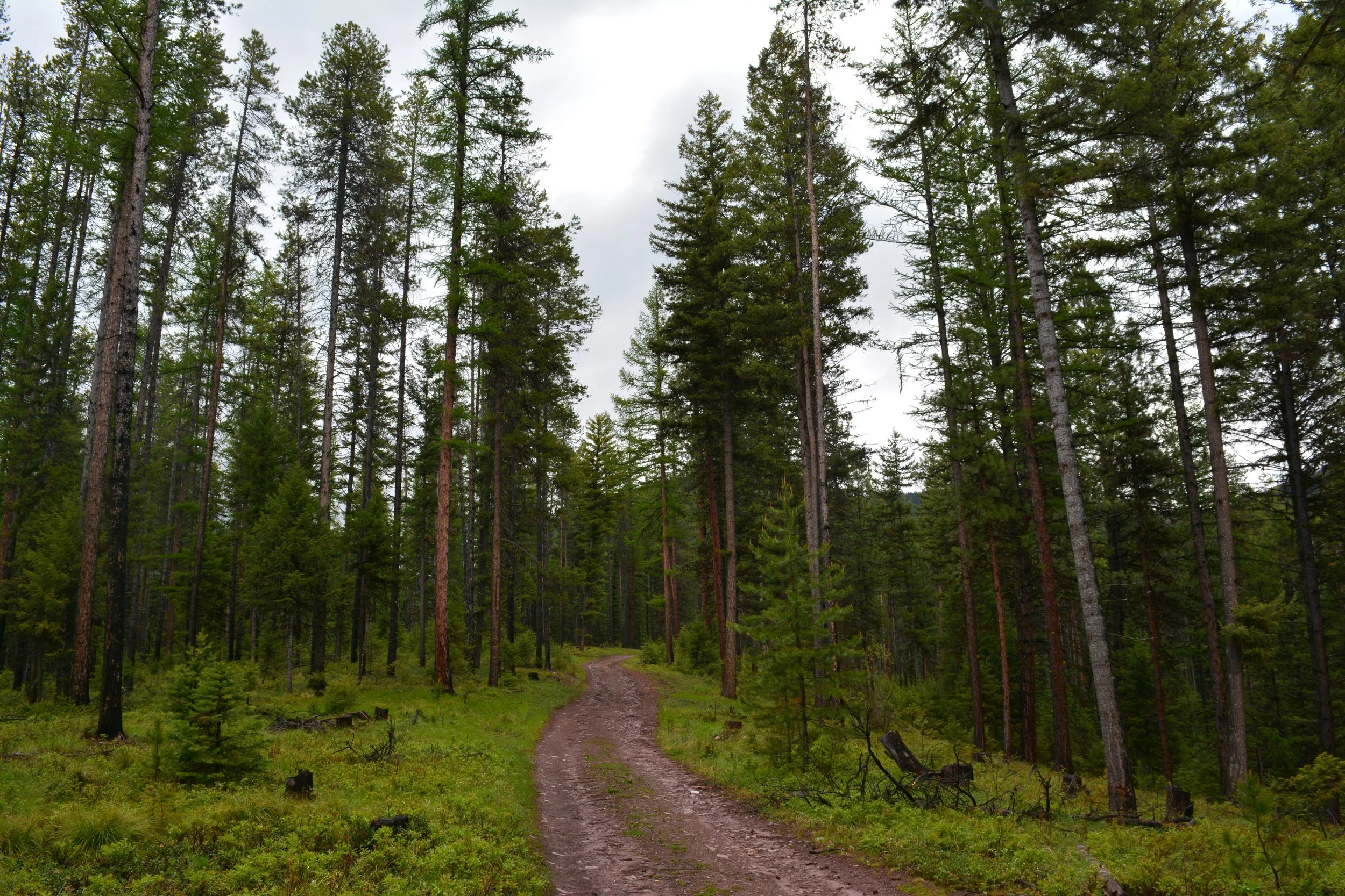 National Public Lands Day - Petty Creek