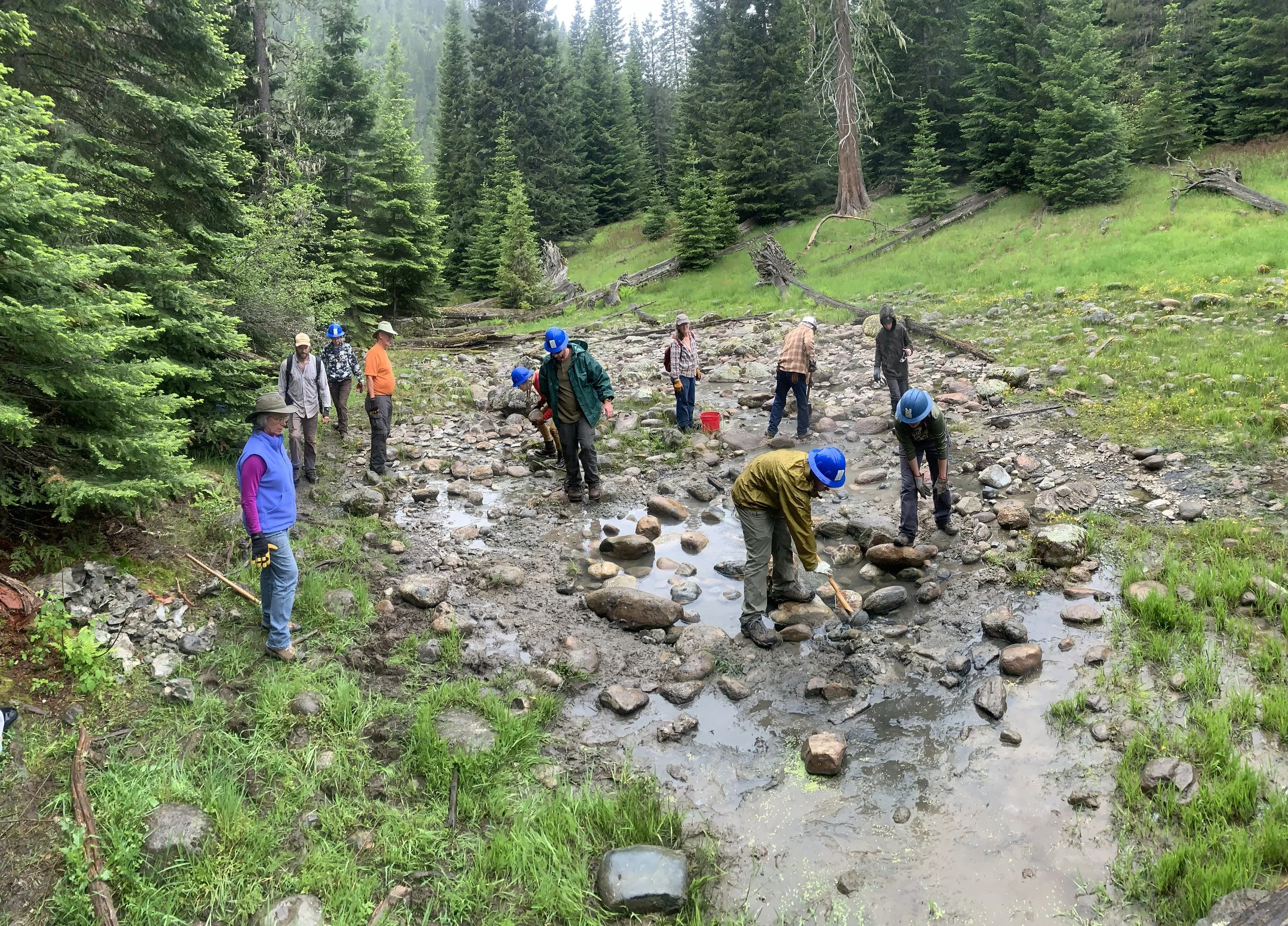 World Cleanup Day
