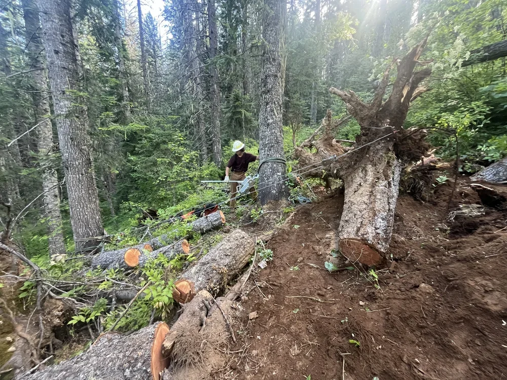 Field Crew friday: seth, trail crew lead