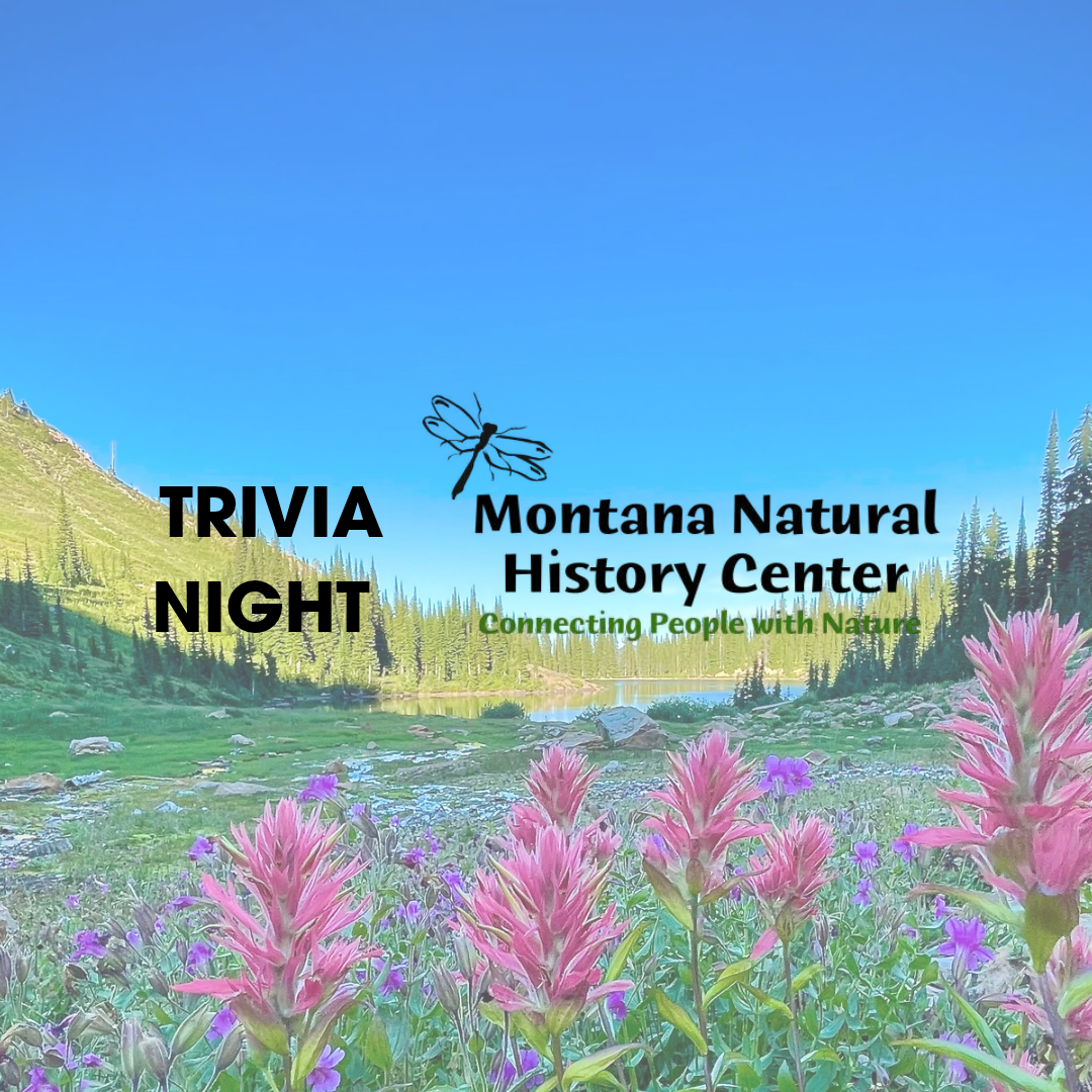 Great Burn Trivia Night 