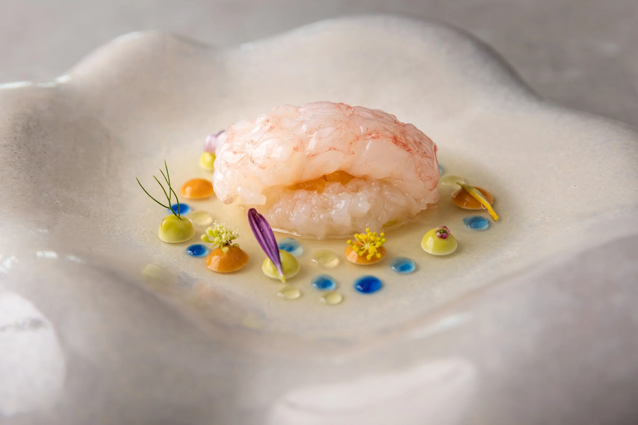 A plated dish featuring a piece of cooked seafood, garnished with edible flowers, herbs, and colorful sauce dots on a white plate.