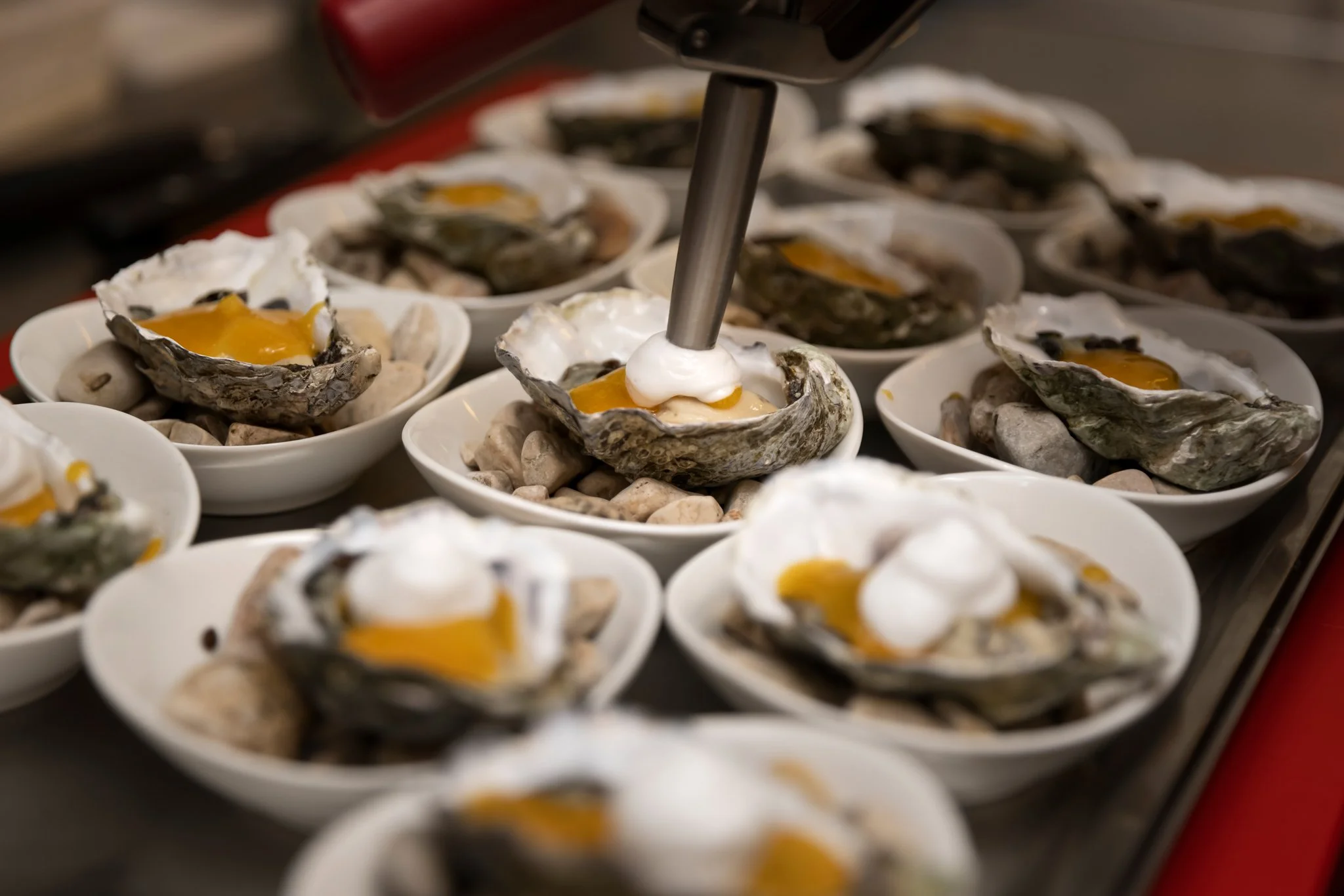 Close-up of raw oysters on half shells with orange roe in small white bowls.