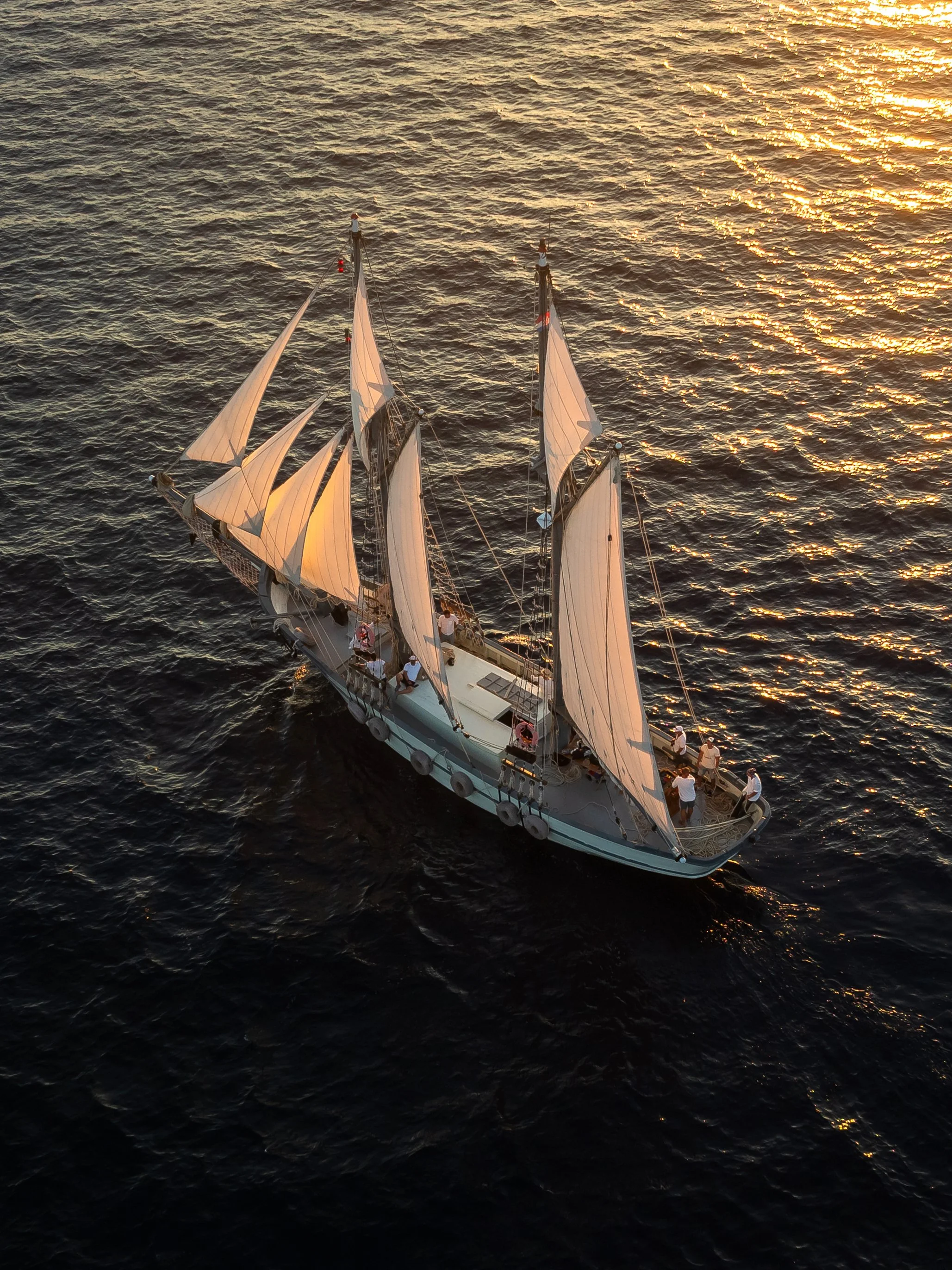 A sailboat with white sails sailing on dark ocean water during sunset, with golden light reflecting off the waves.