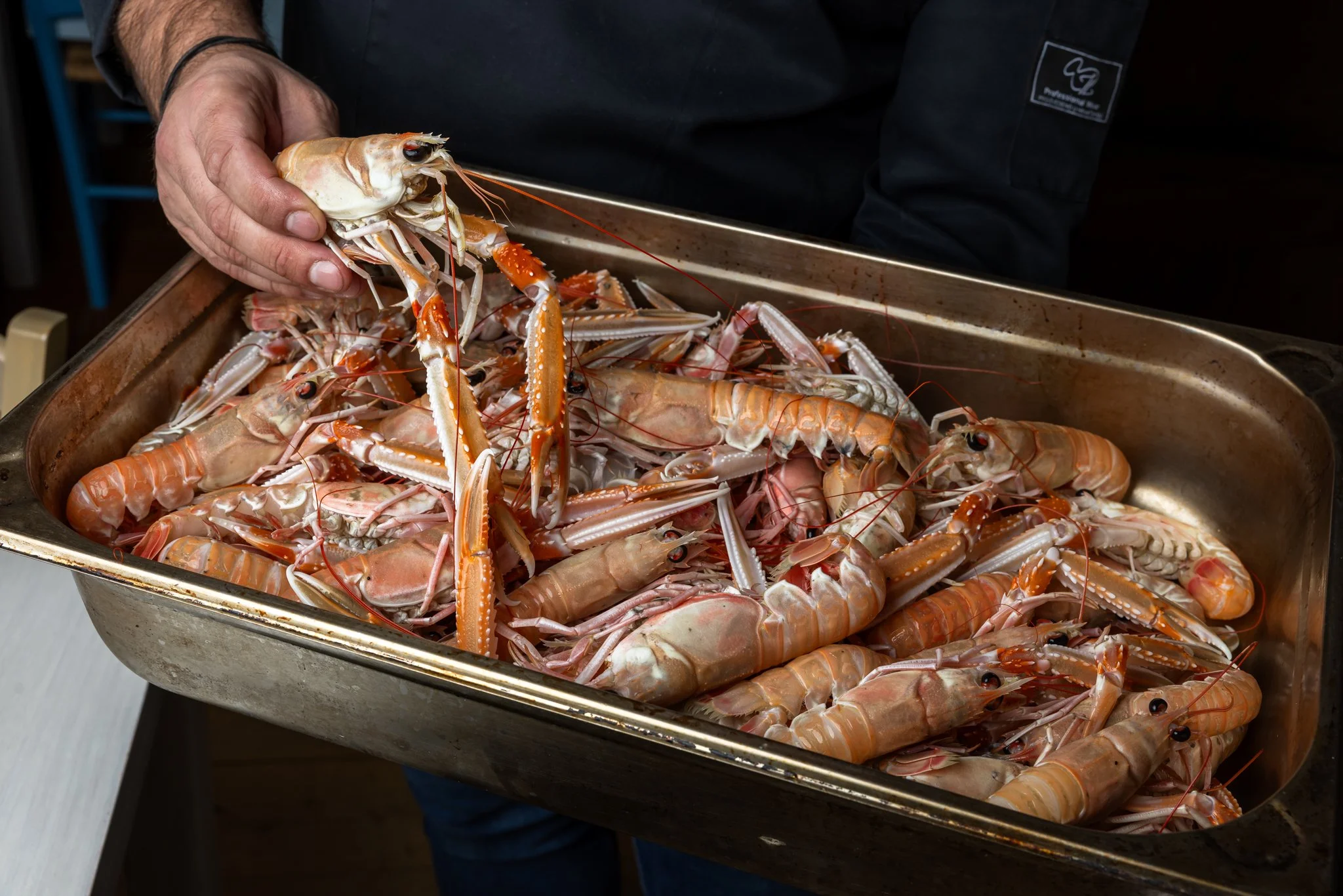 Person holding a raw lobster over a tray of cooked lobsters.