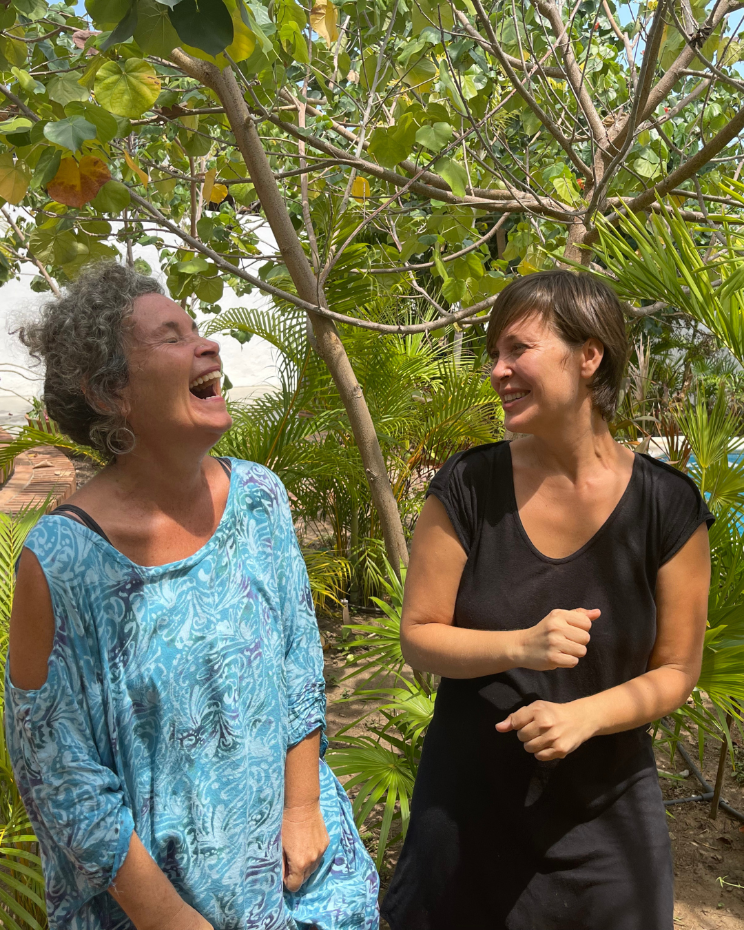 experts on home education and self-directed learning