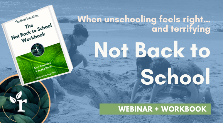 a radical learning webinar for parents that have left the school system