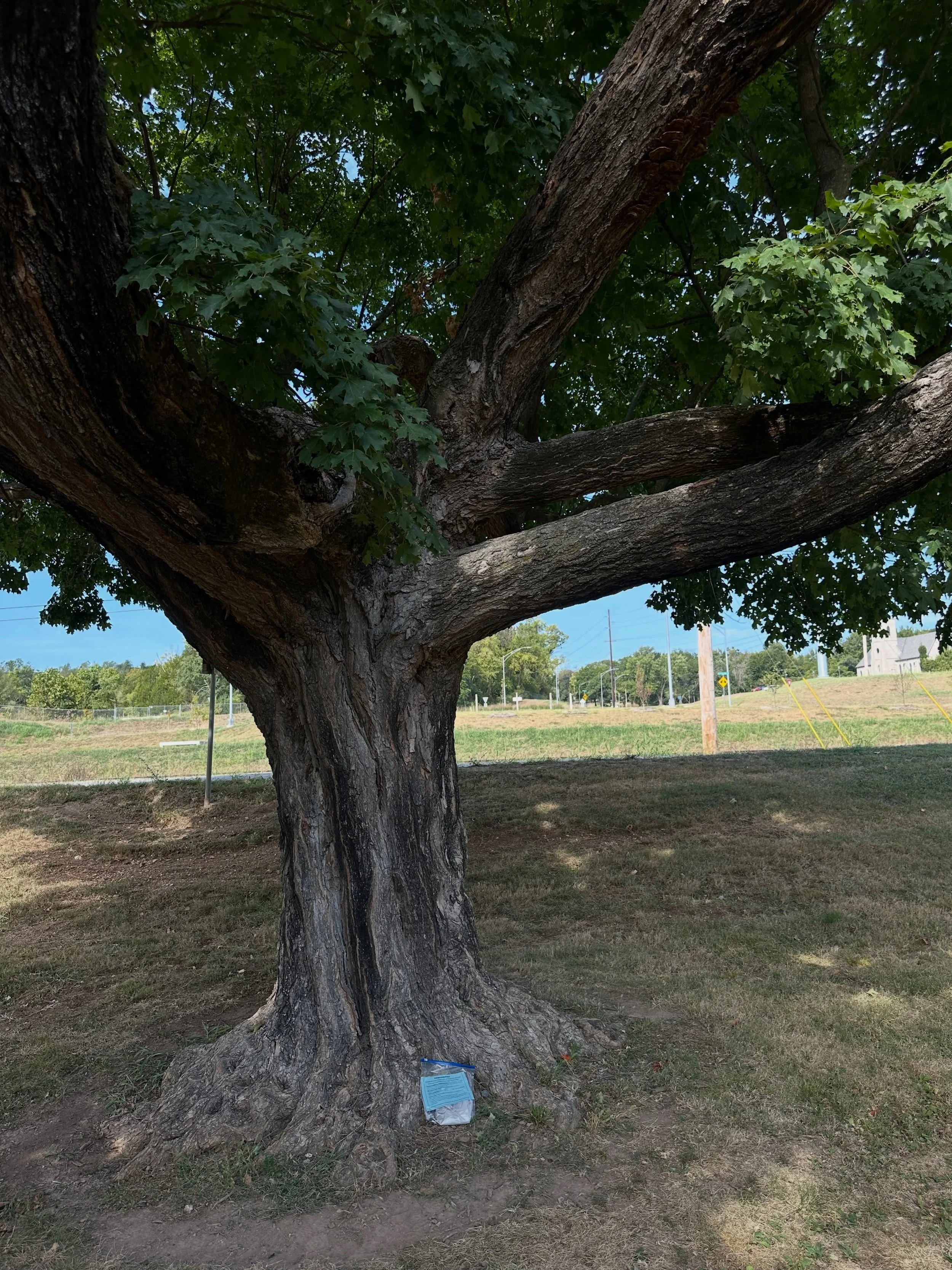 Our 30th Birthday Free Pottery Scavenger Hunt is ON 🕵️🎨🌳

It&rsquo;s been so much fun watching everyone hunt for their pieces and unwrap their goodies!

We hid over 100 FREE pieces of pottery around Sequiota and Nathanael Greene Park to celebrate 