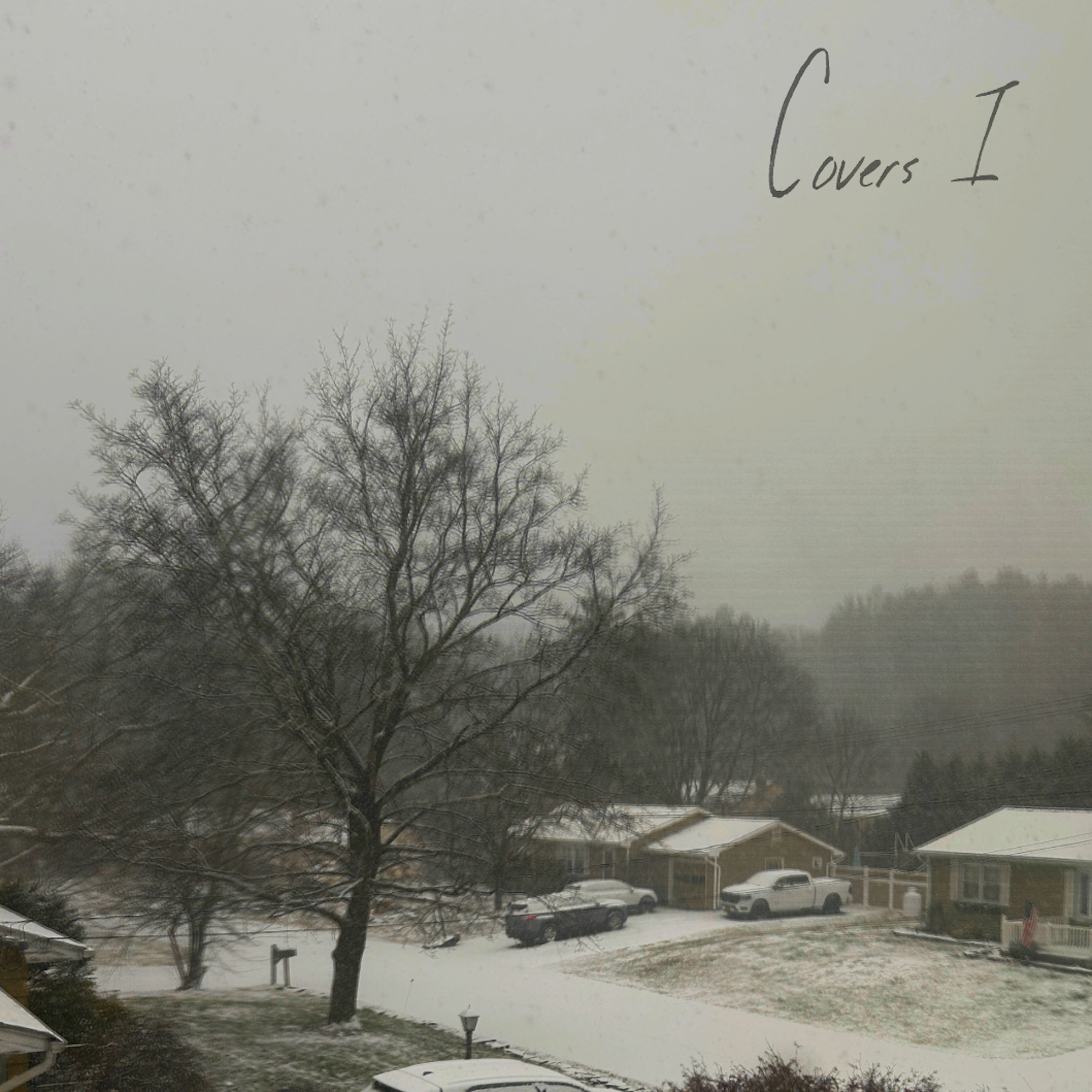 Snow-covered residential neighborhood with parked cars, leafless trees, and overcast sky