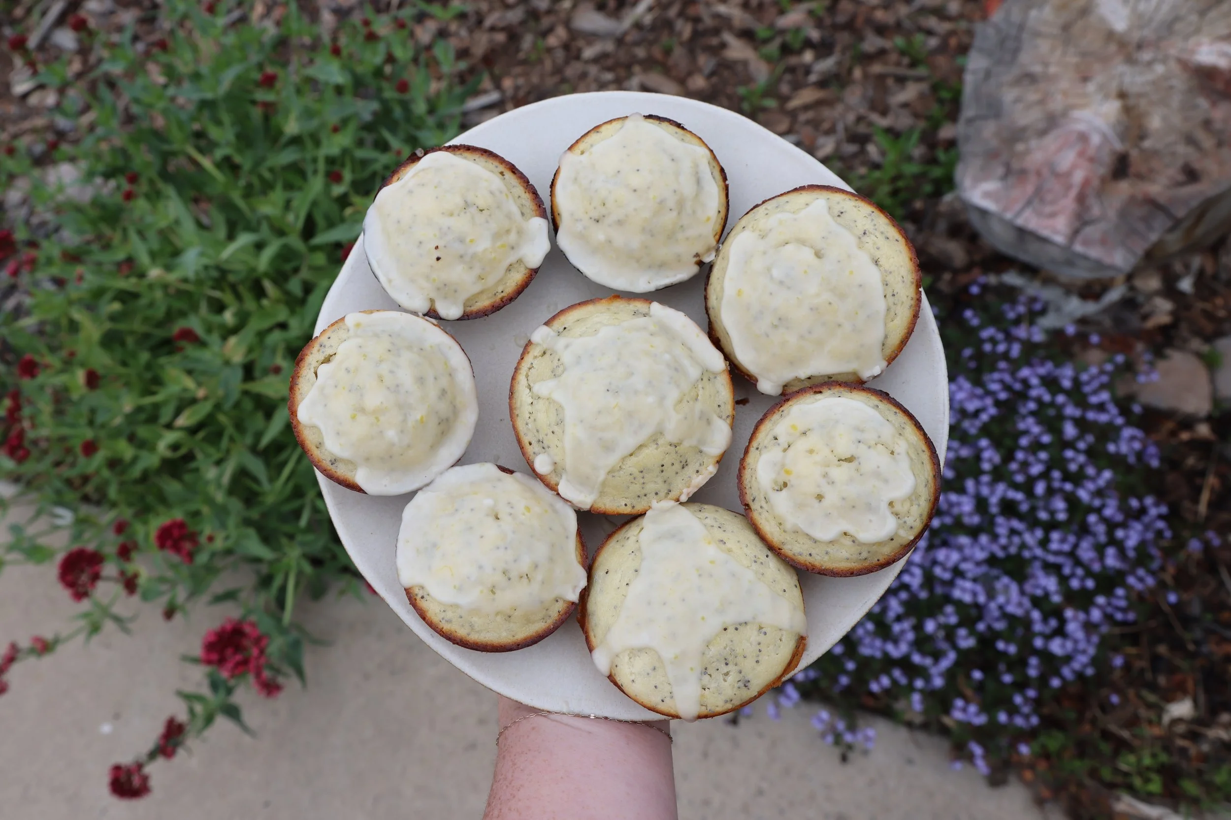 Seasonal Lemon Poppy Seed Muffin - 4 pack