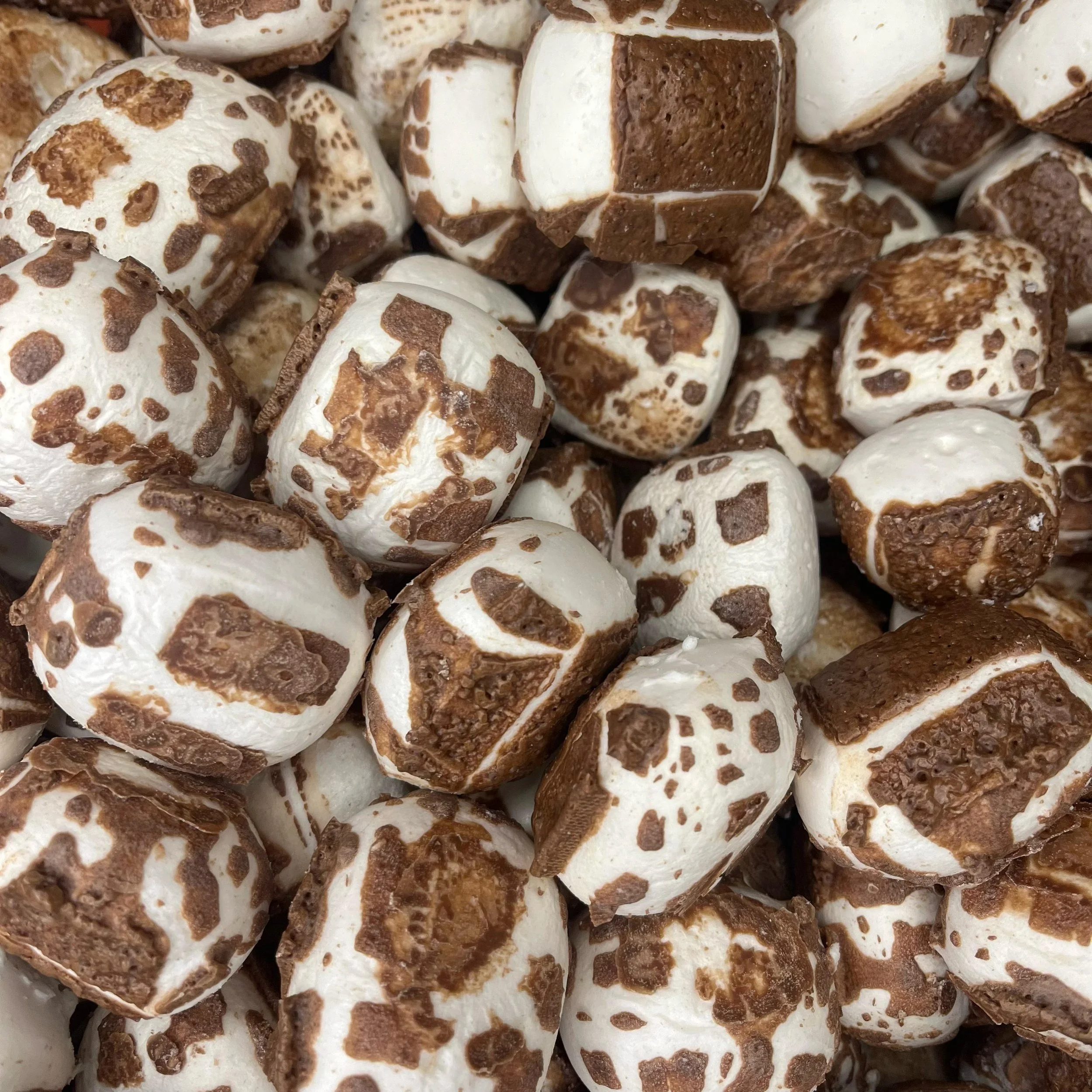 Charleston Chews