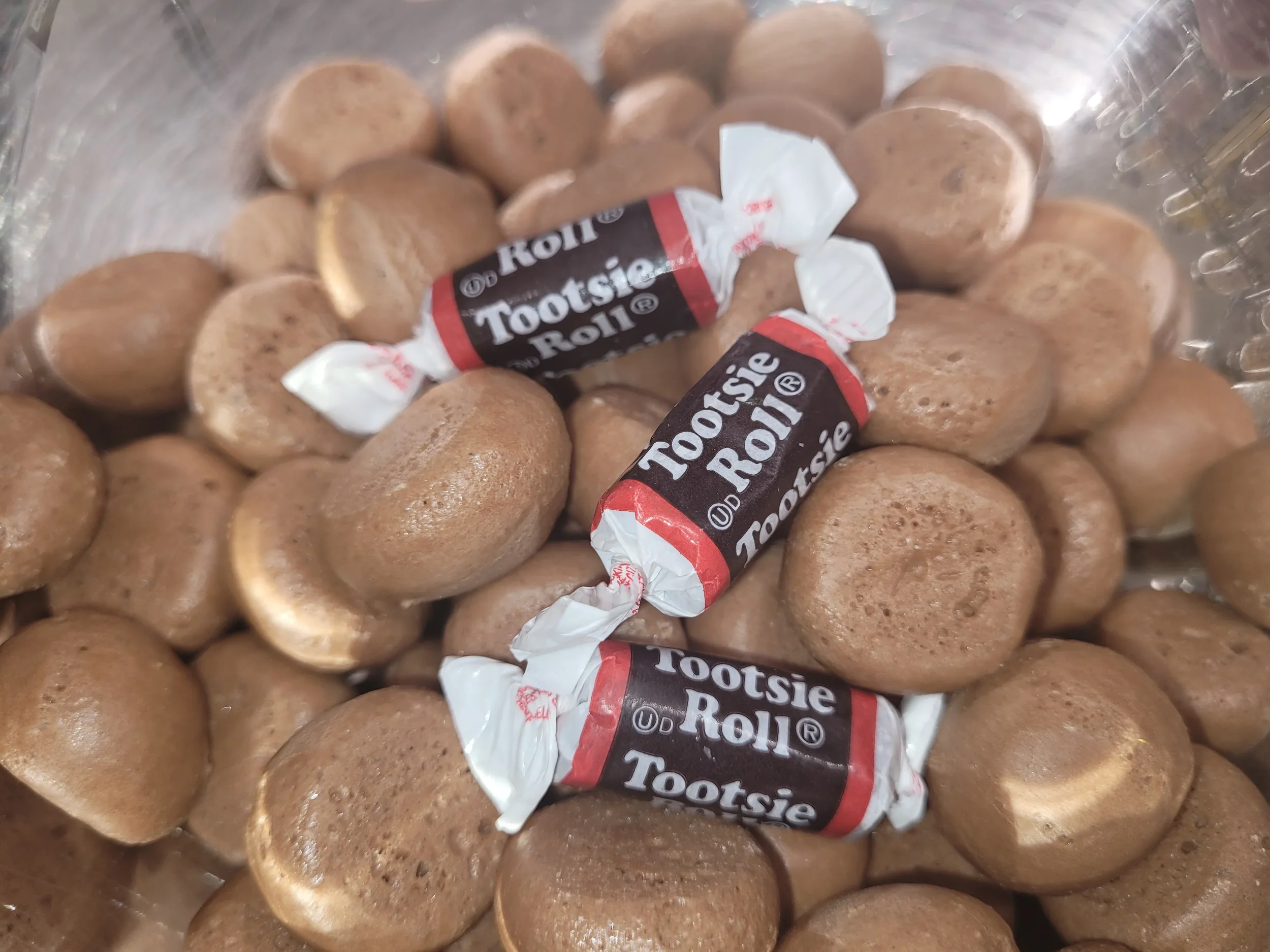 tootsie photo.webp