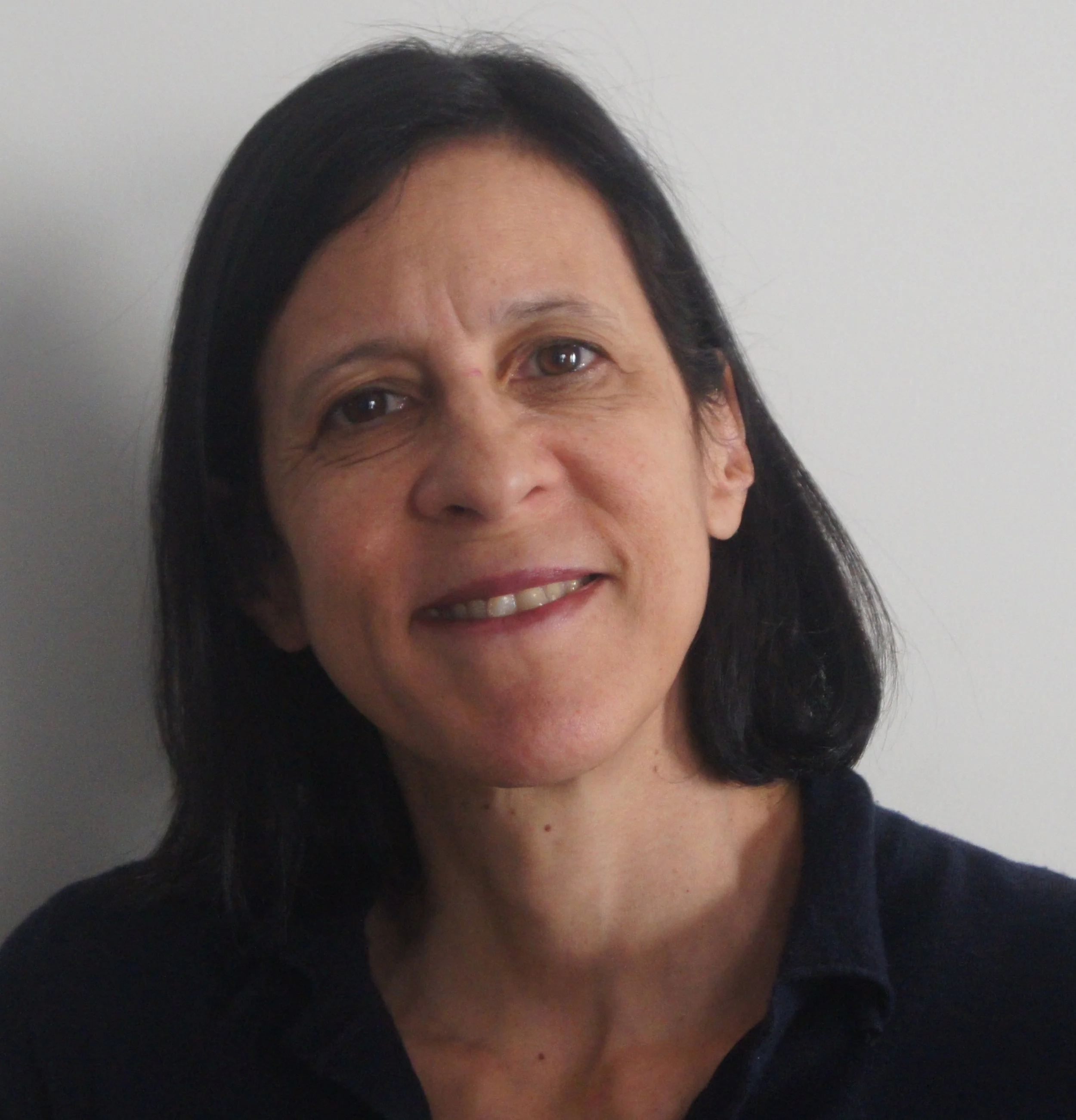 Lisa N. Peters, Ph.D.