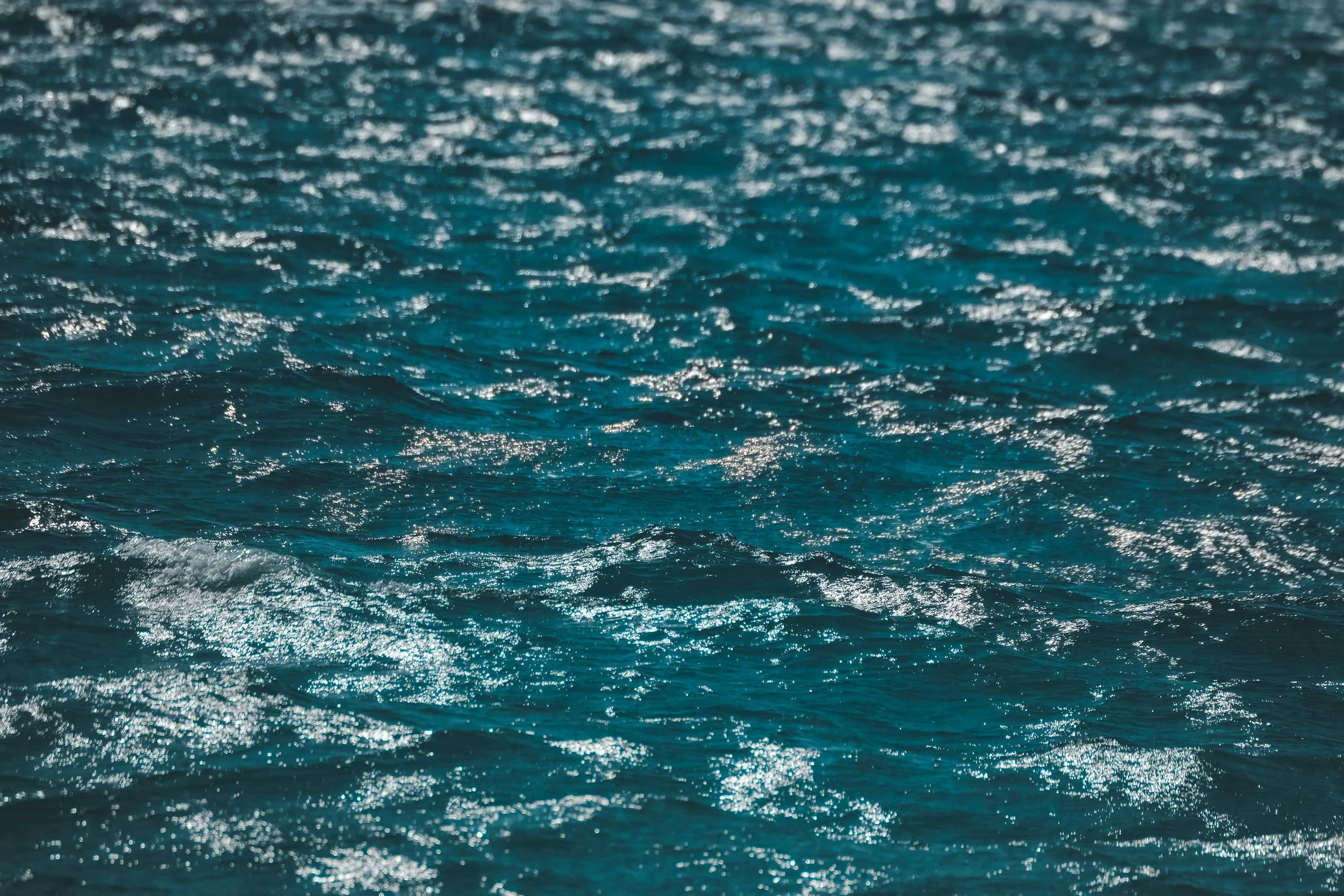pexels-francesco-ungaro-13075382.jpg