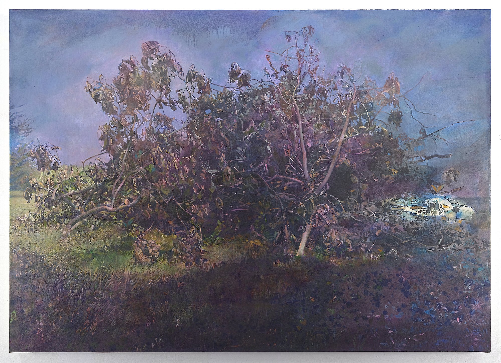 Last Year's Fire | 2024 | 
oil and acrylic on canvas | 
39 x 54 inches | 
10,000USD