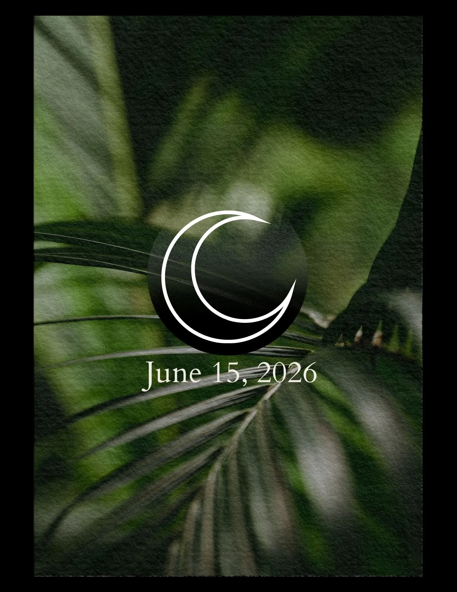 New Moon Ceremony