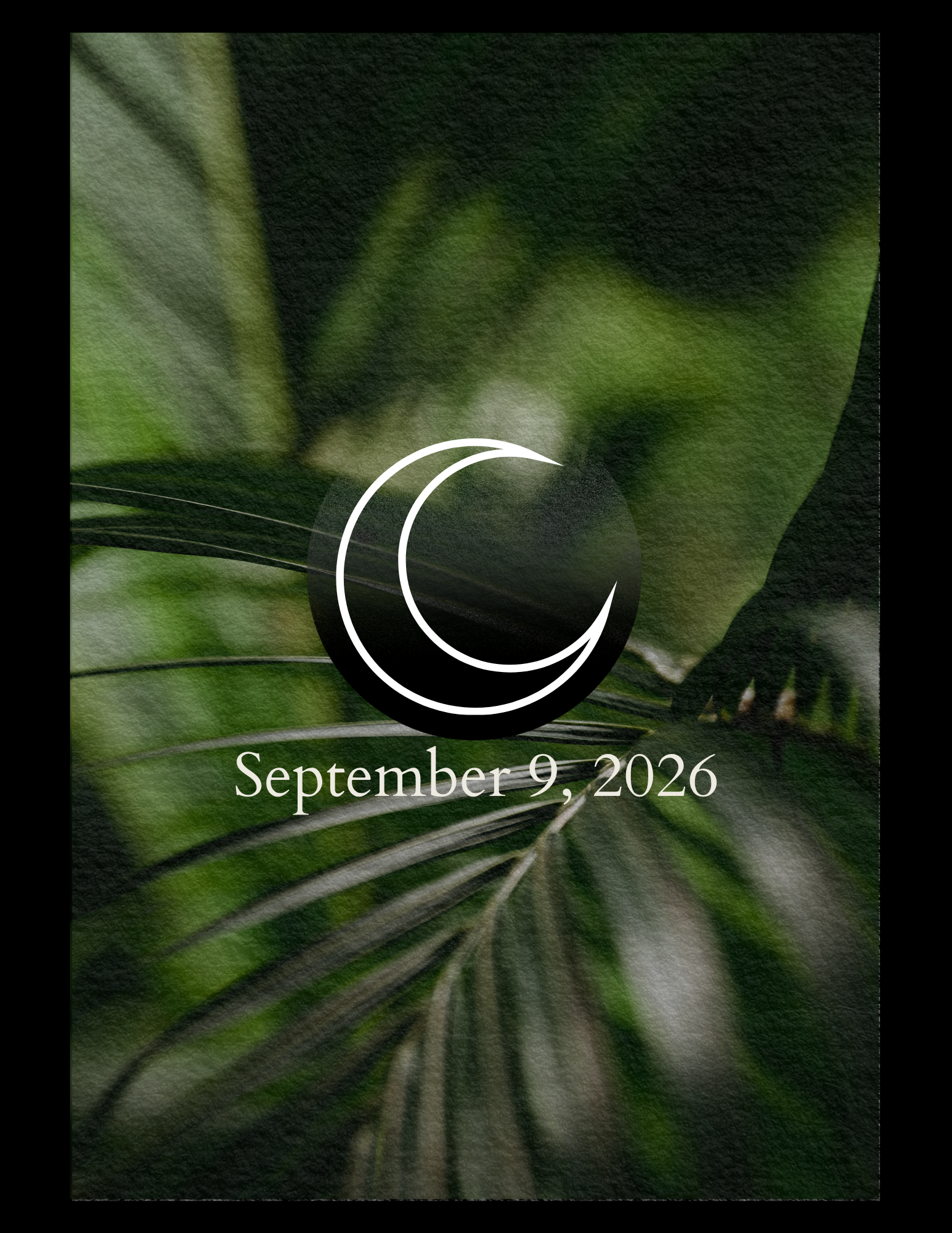New Moon Ceremony
