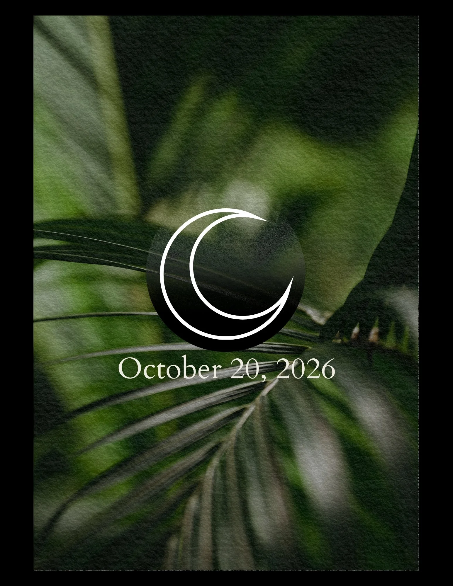 Sacred Copal Cleansing and Sound Bath