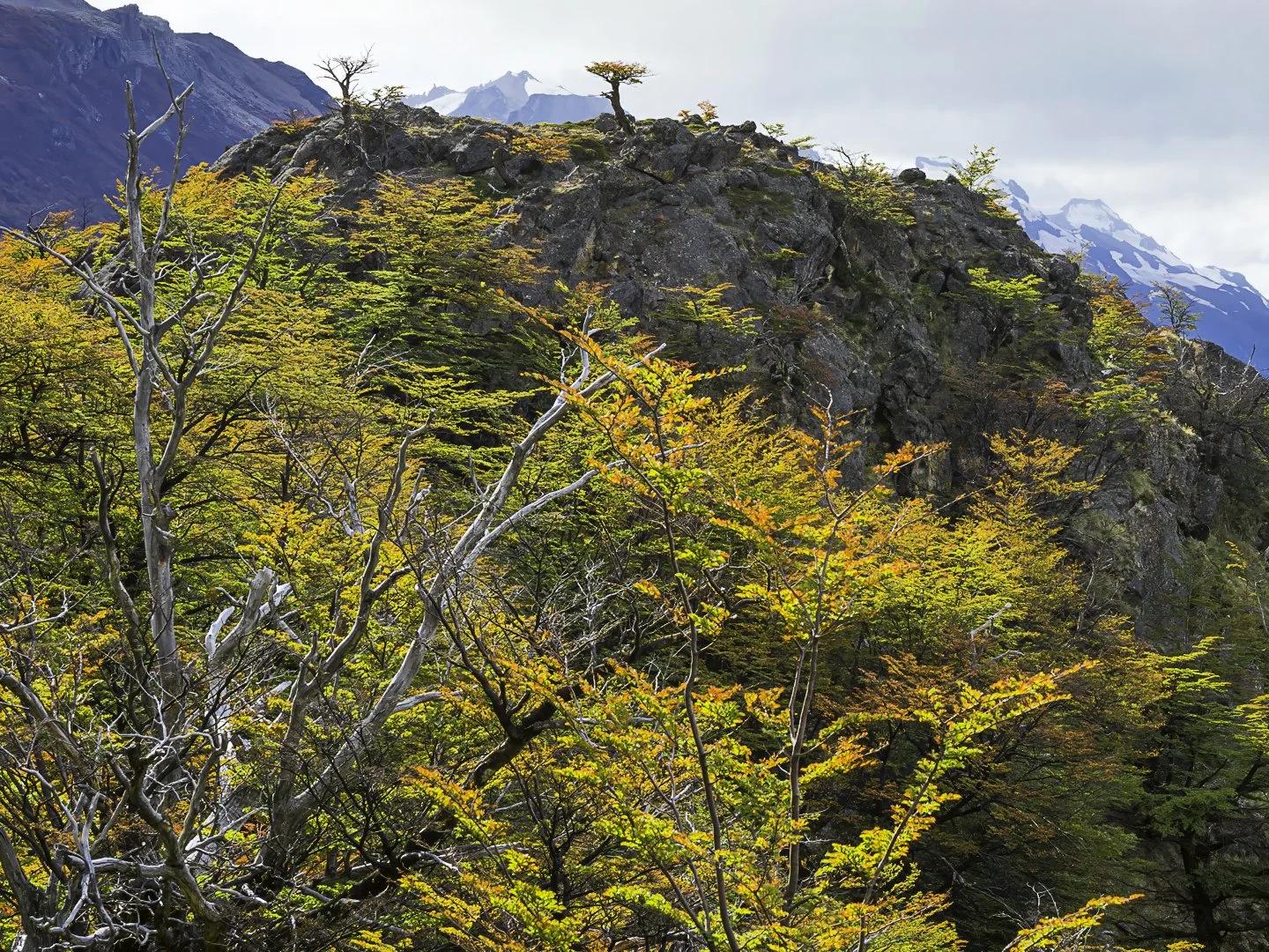 Laguna de Los Tres Trail, Los Glaciares National Park, Argentina