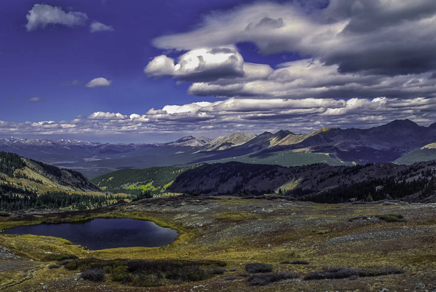 Cottonwood Pass (1999)