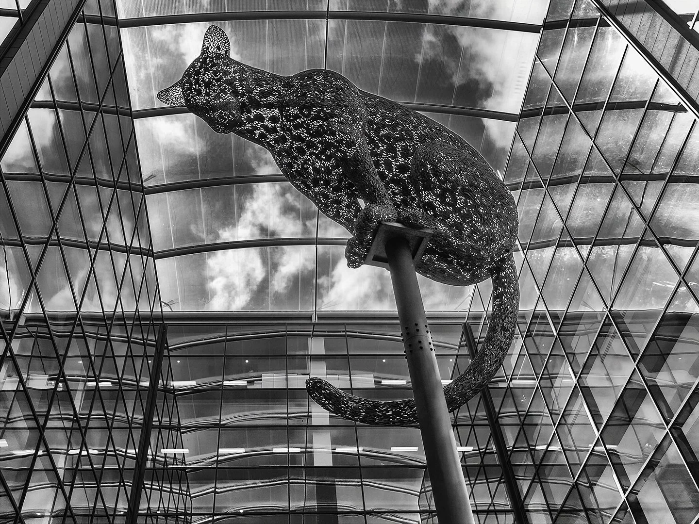 "Poised" by Andy Scott
