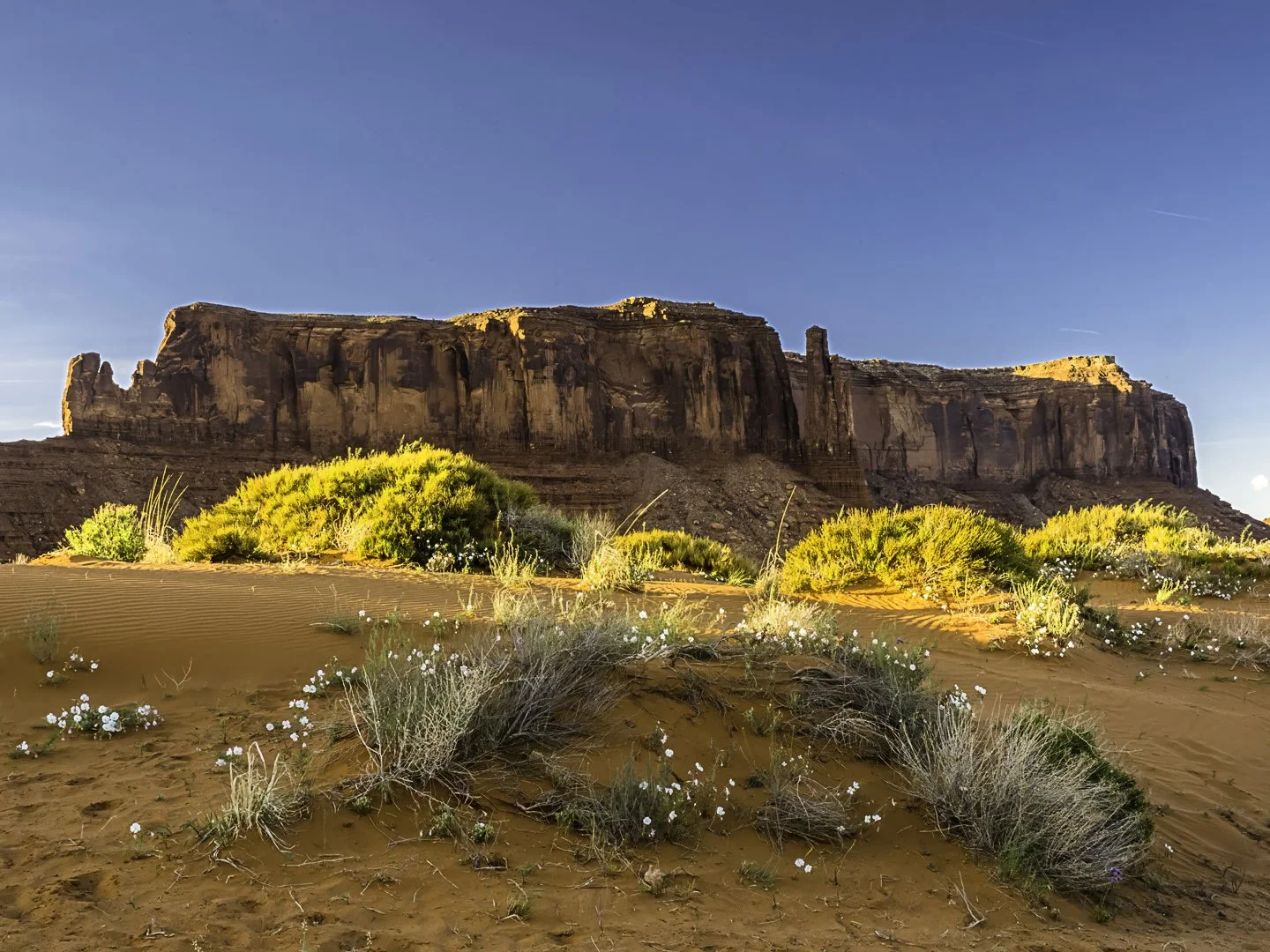 Sentinel Mesa