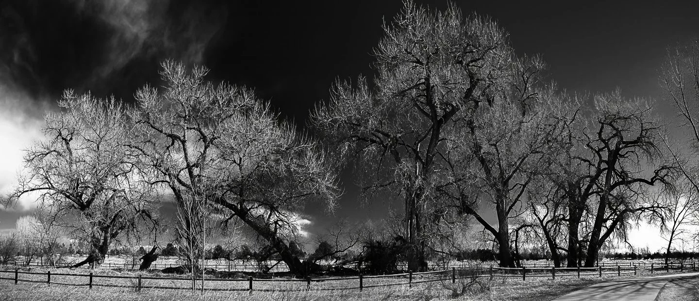 Spring Canyon Park, Fort Collins (2024)