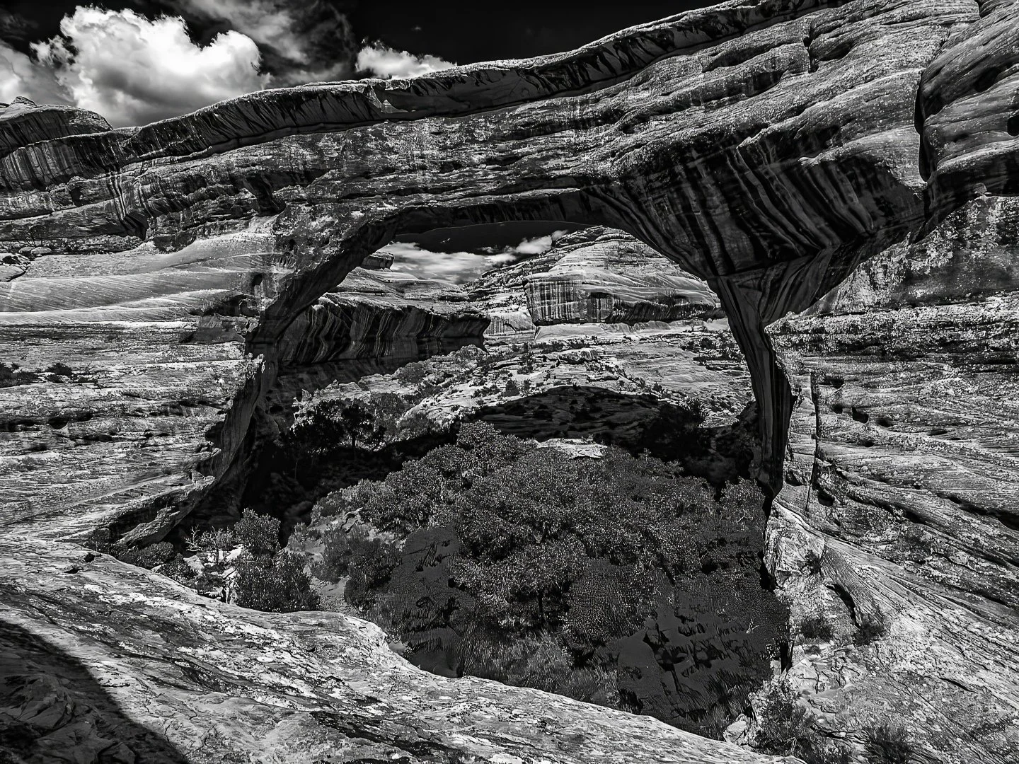 Natural Bridges National Monument, UT (2017)