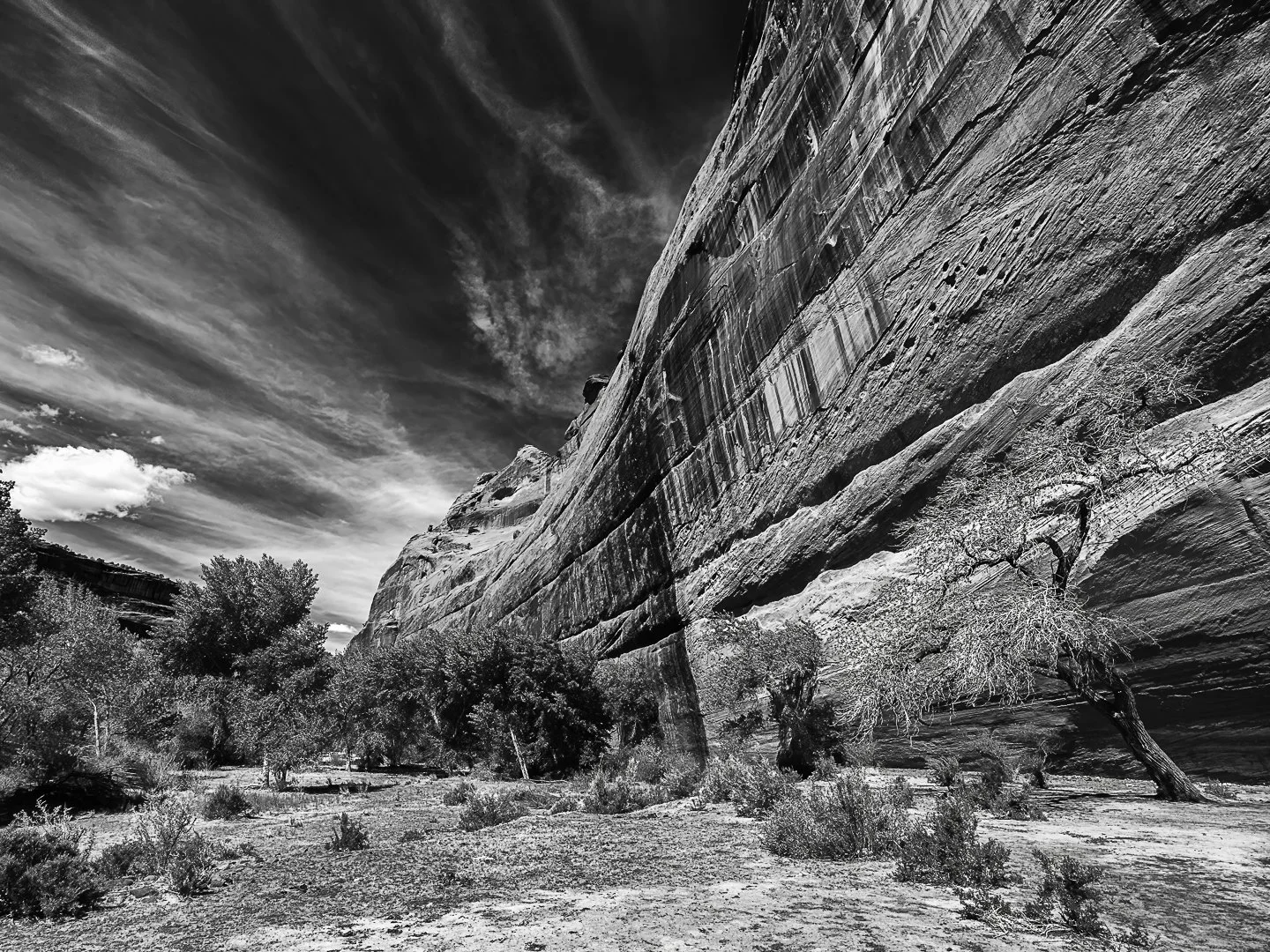 White House Ruin Trail