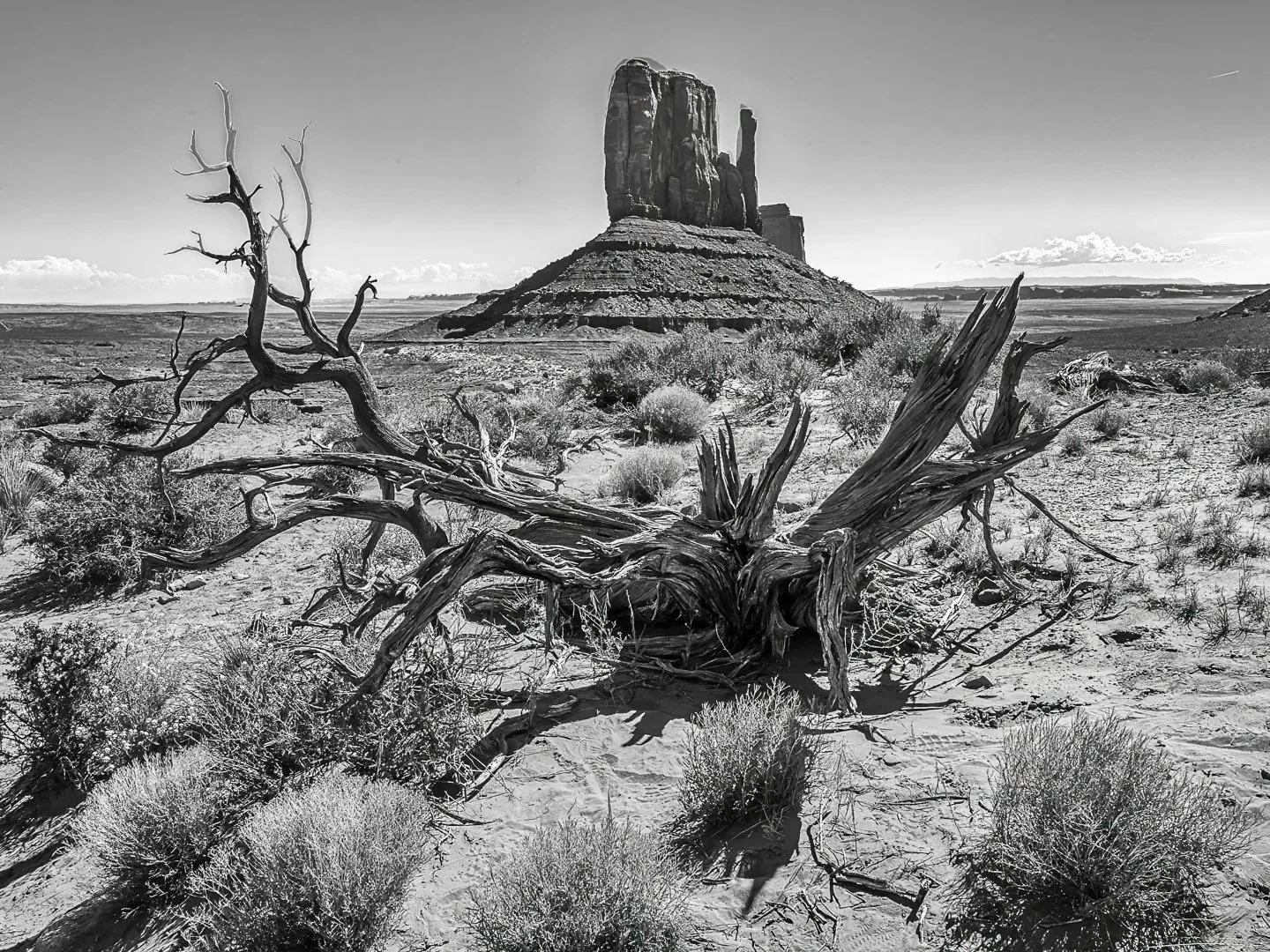 West Mitten
