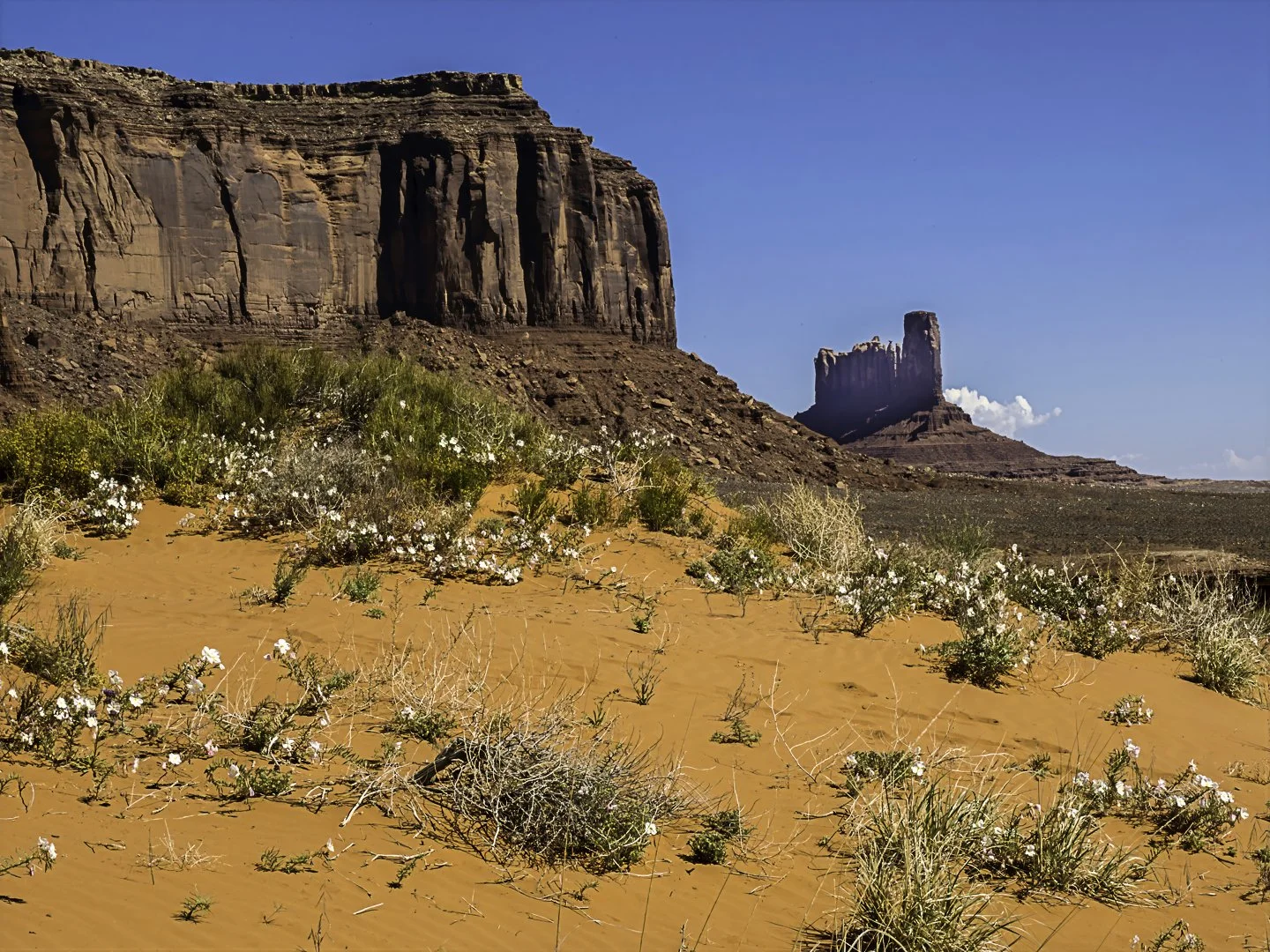 Sentinel Mesa and Big Chief (L to R)