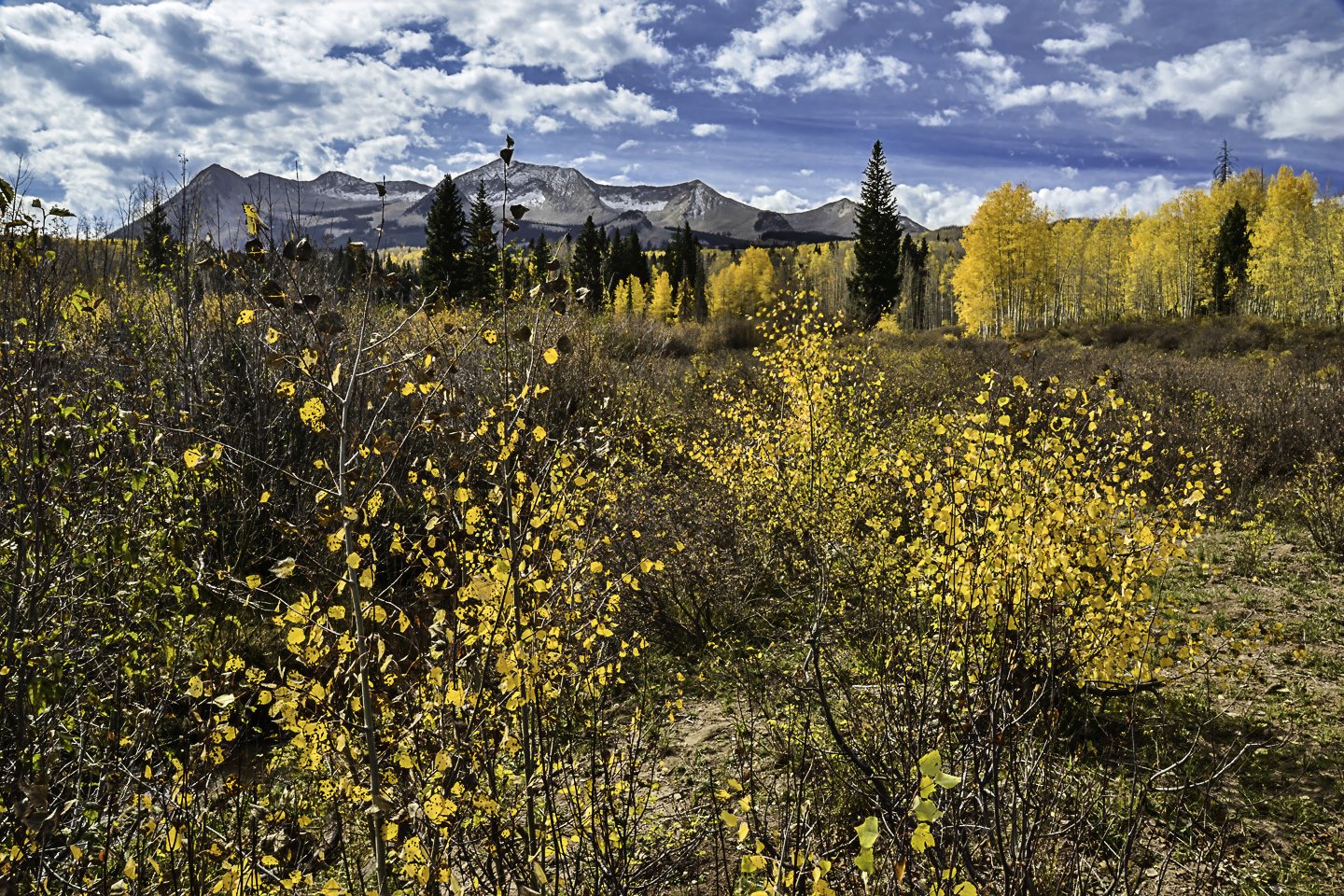 East Beckwith Mountain near Lost lake (2012)