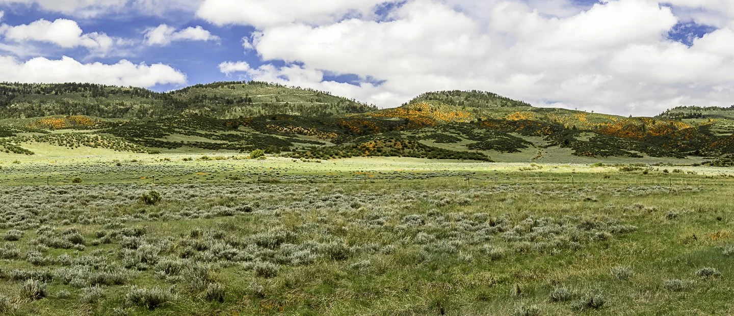 Ruby Wash Trail