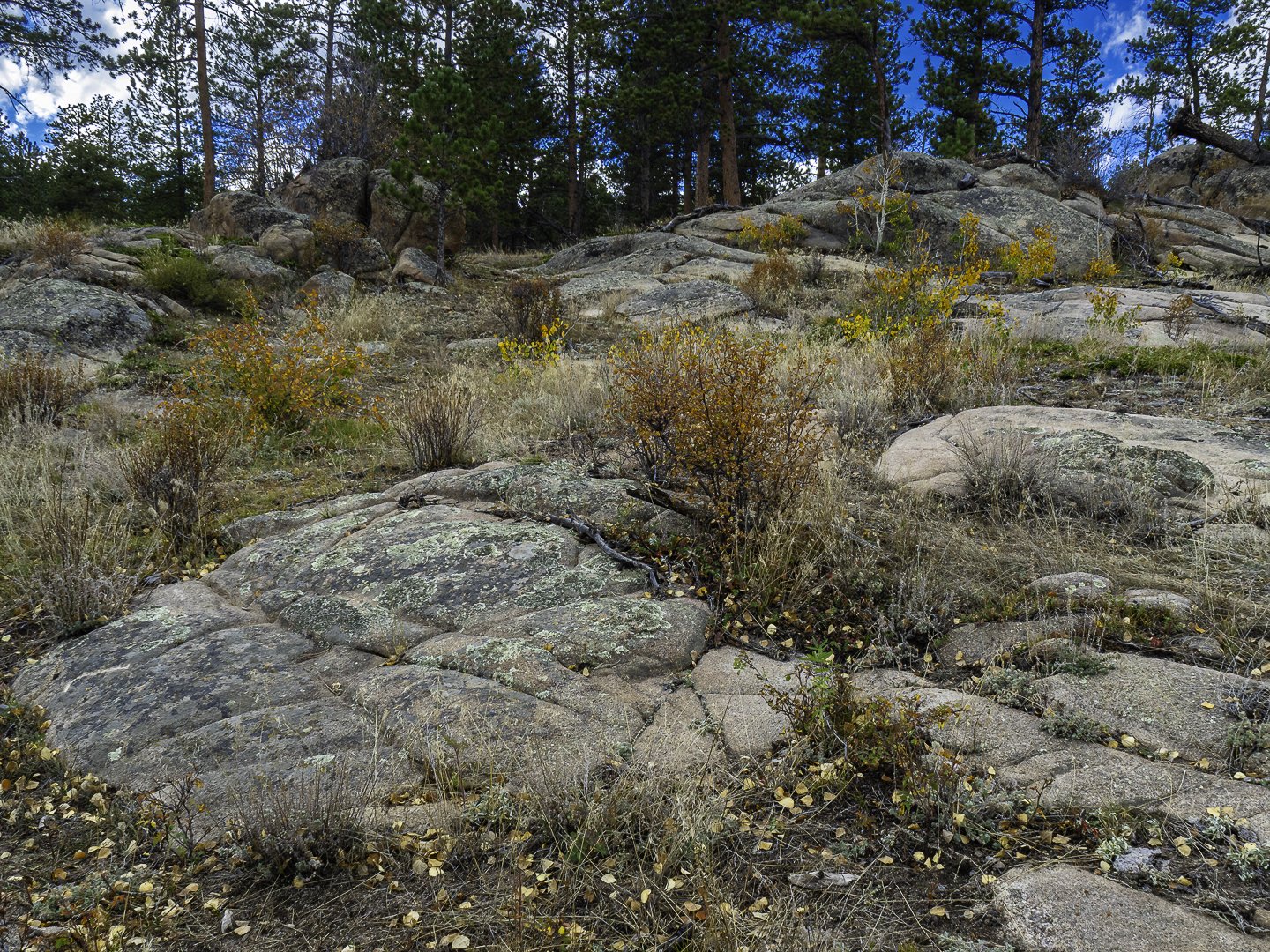 _A120044-Edit.jpg