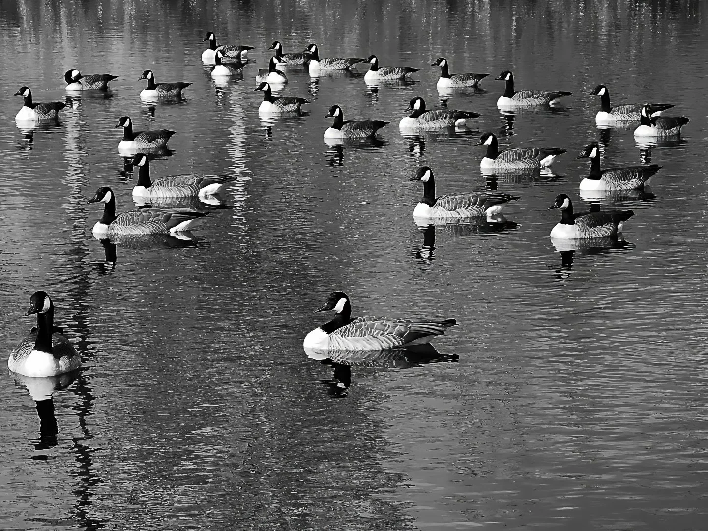 Rolland Moore Park, Colorado (2024)