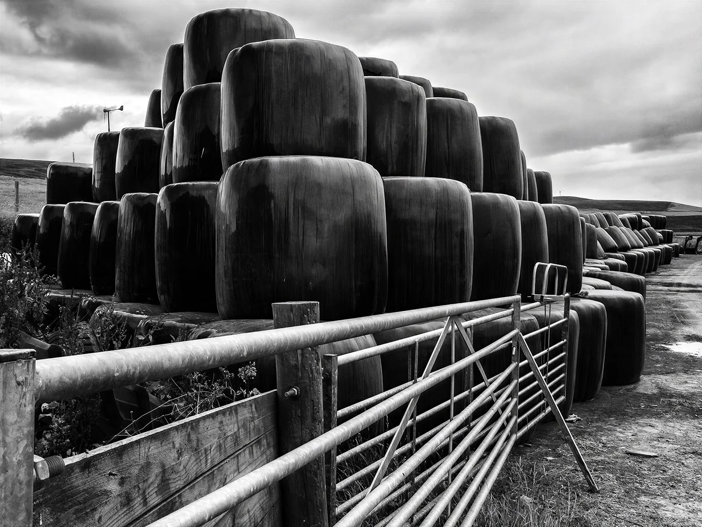 Hay bales
