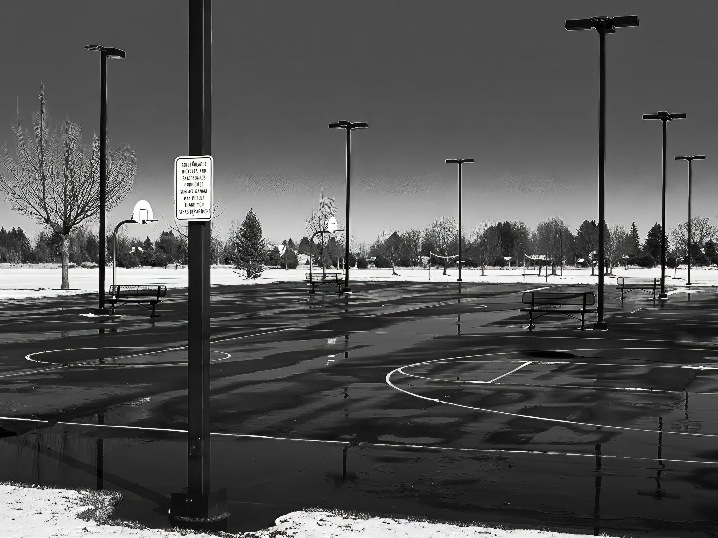 Spring Canyon Park, Fort Collins (2024)
