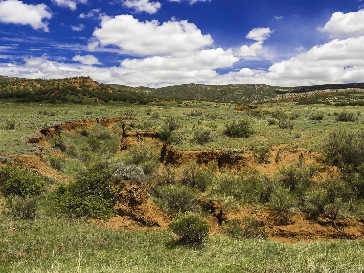 Big Hole Wash