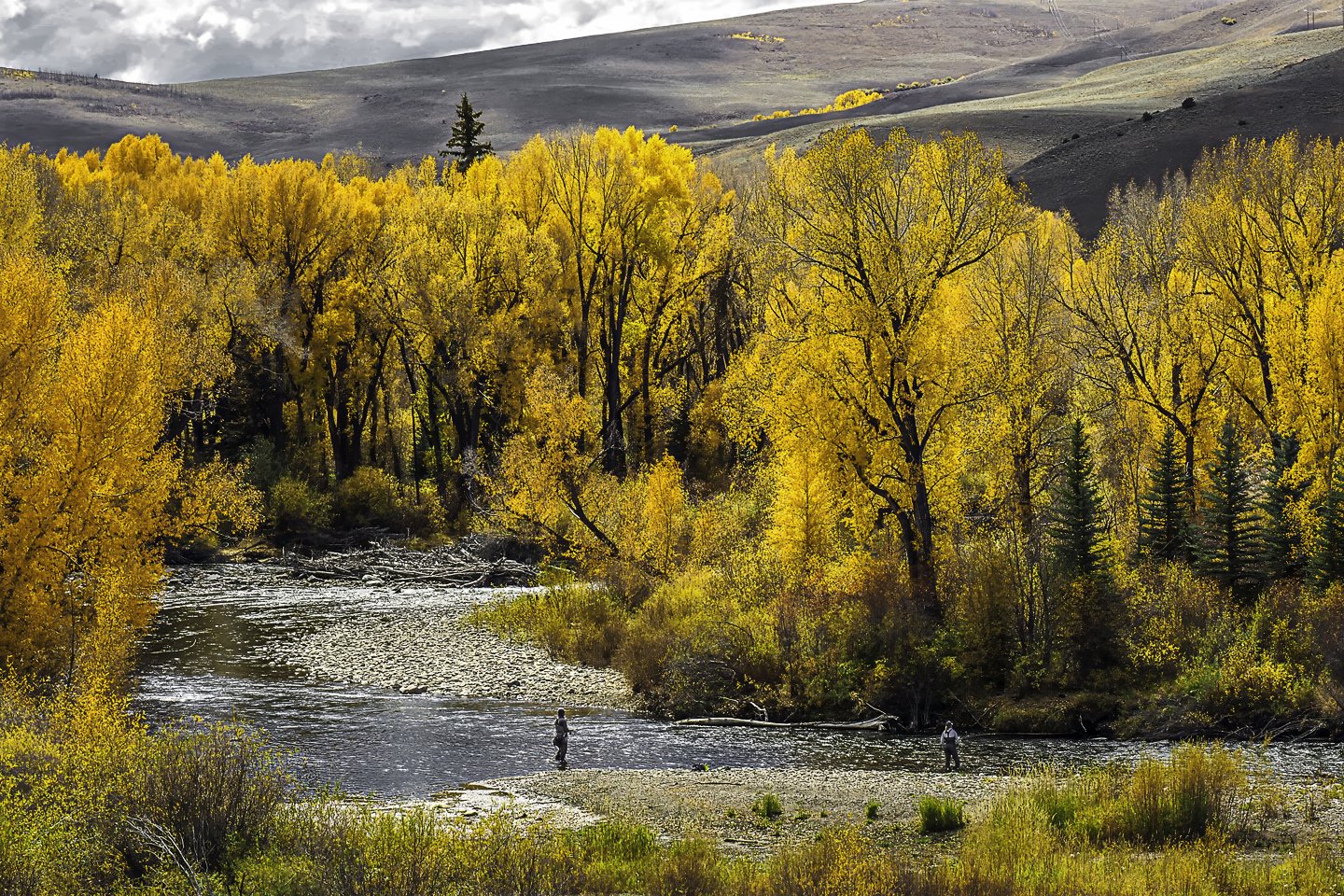 East River near Almont (2016)