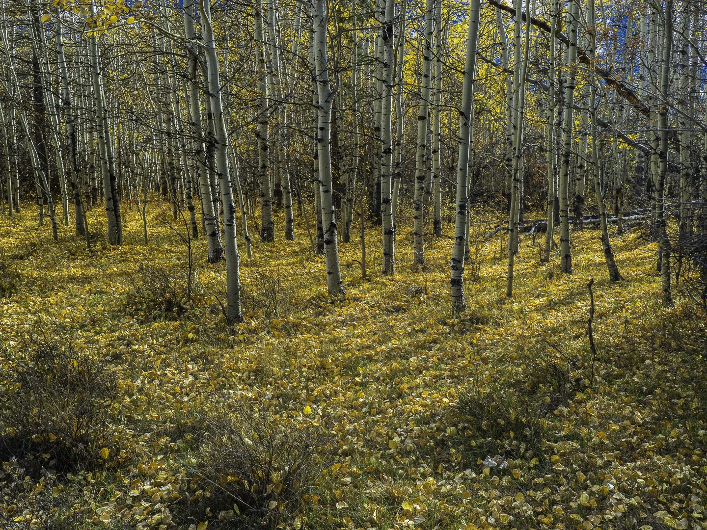 _A120039-Edit.jpg