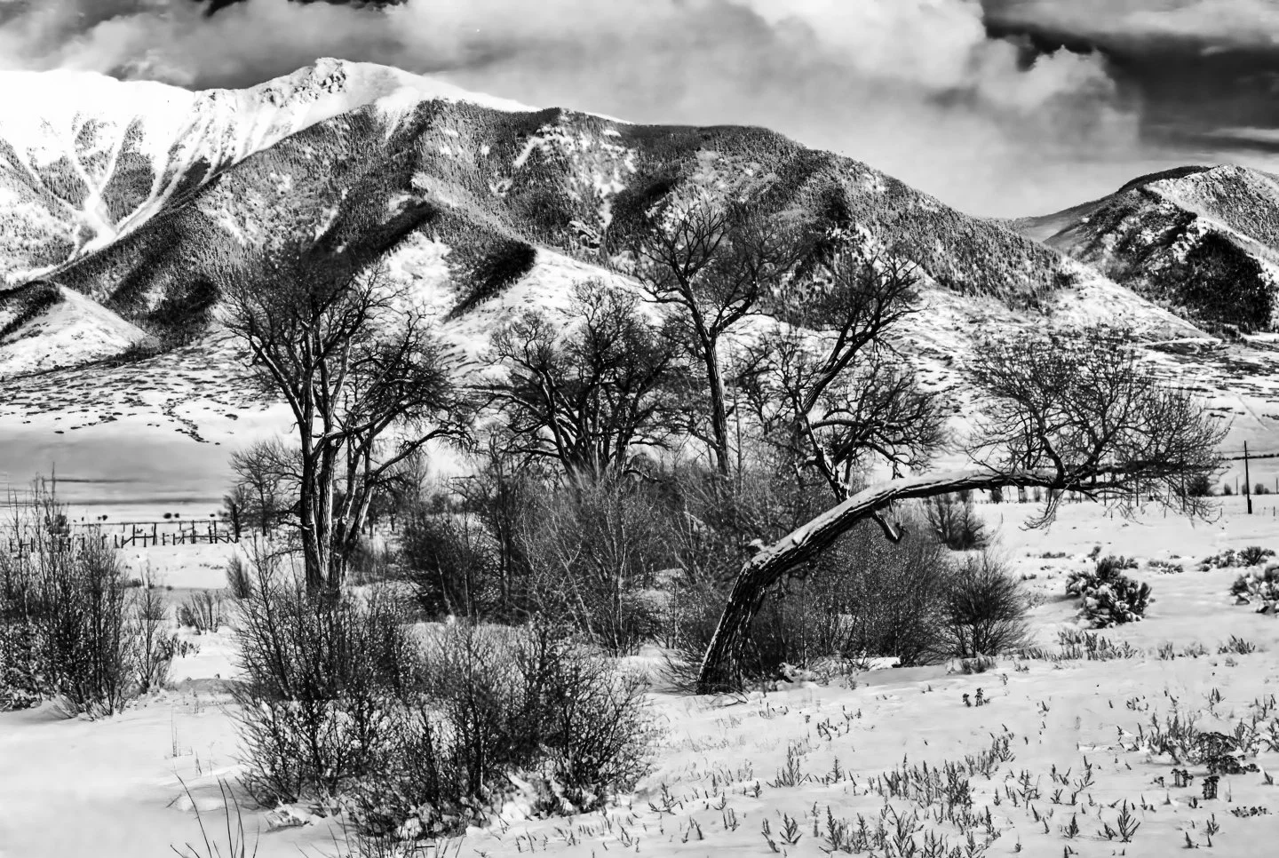 Kerber Creek, San Luis Valley (1972)
