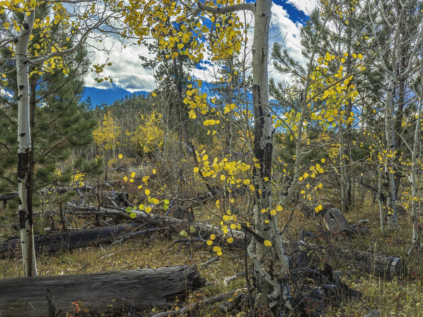 _A120020-Edit.jpg