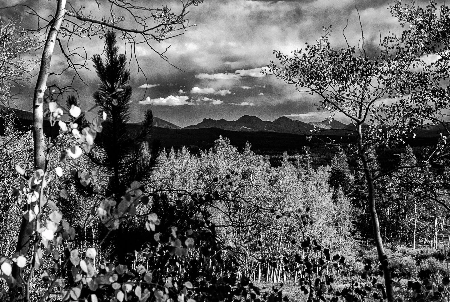 Nokhu Crags (1976)