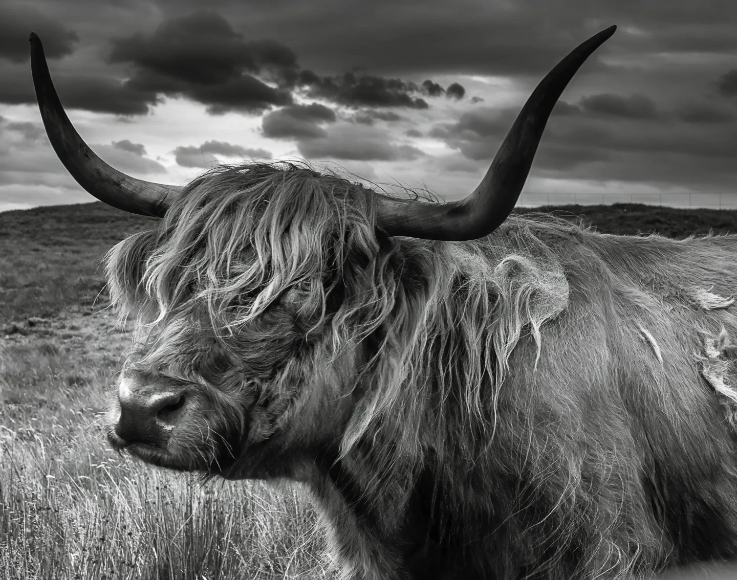 Scotland
